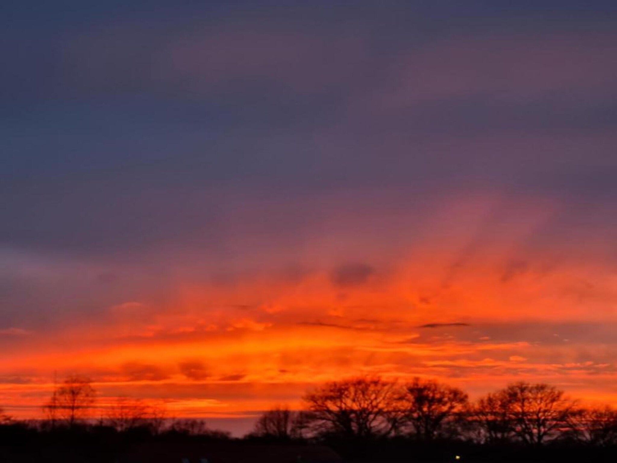 Paradiso in Elsendorp - Foto 35 van 40