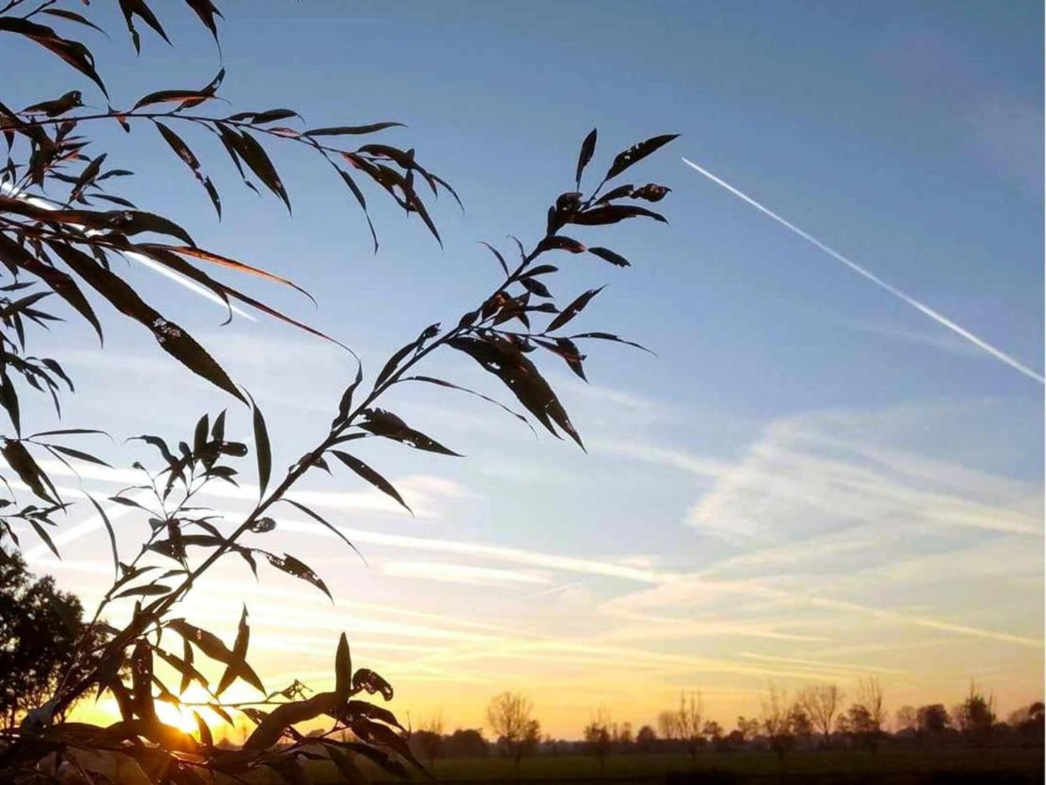 Paradiso in Elsendorp - Foto 36 van 40