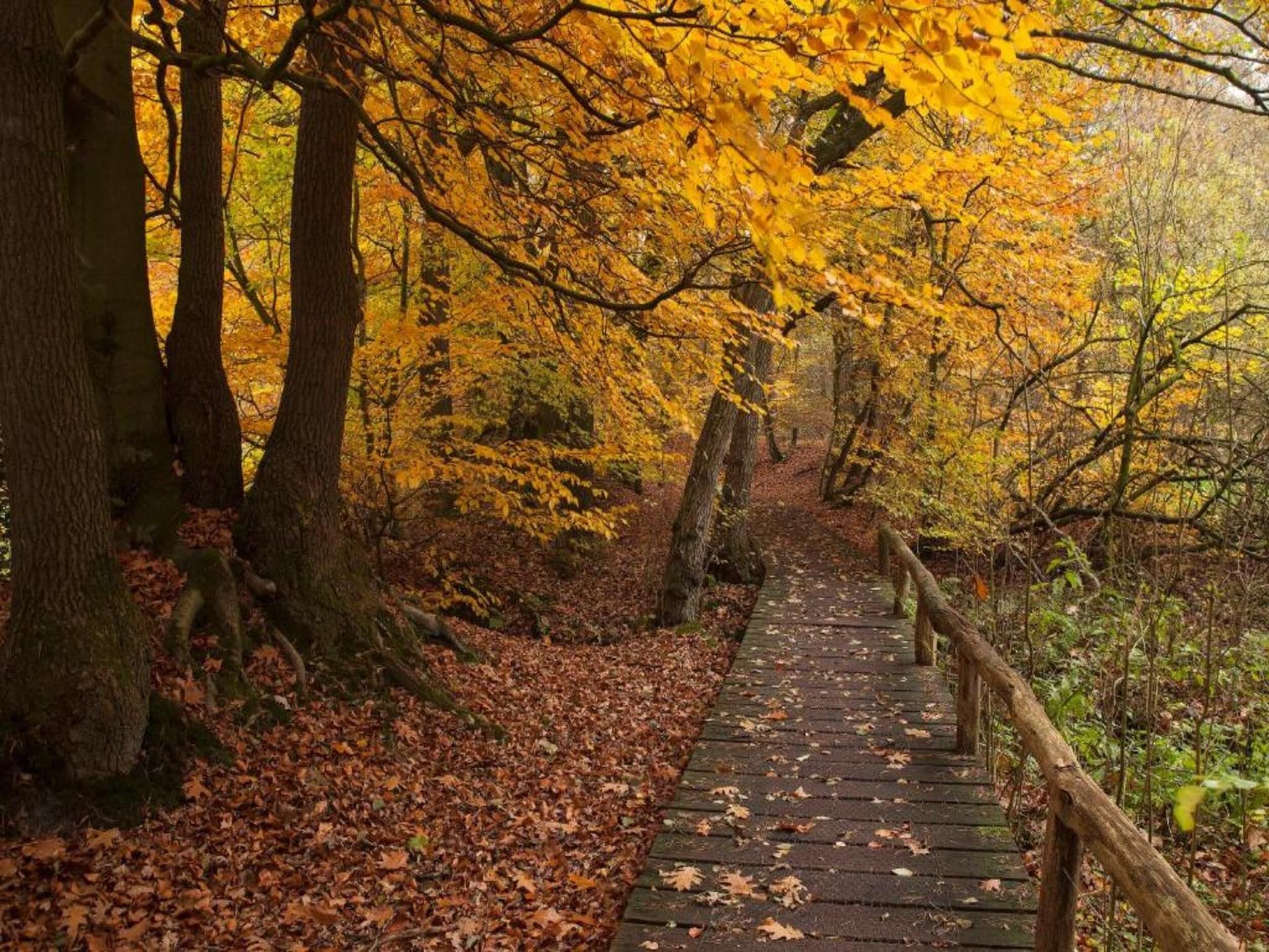 De omgeving van Chaletpark Kuiperberg 7 in Ootmarsum