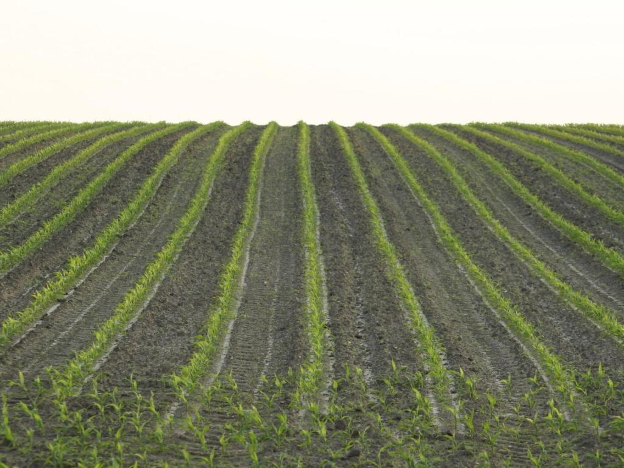 De omgeving van Chaletpark Kuiperberg 7 in Ootmarsum
