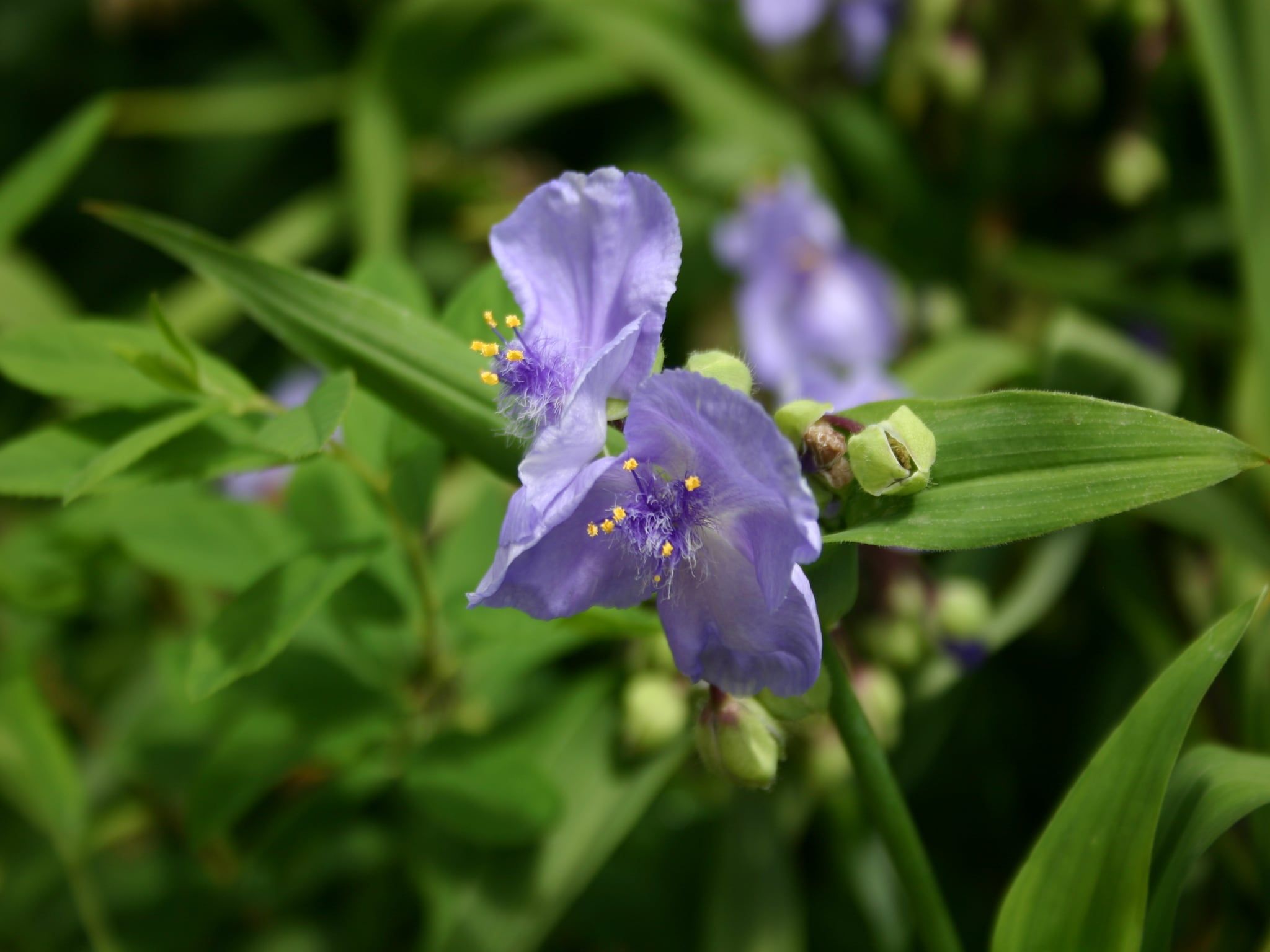 Chaletpark Kuiperberg 1 in Ootmarsum - Foto 21 van 37