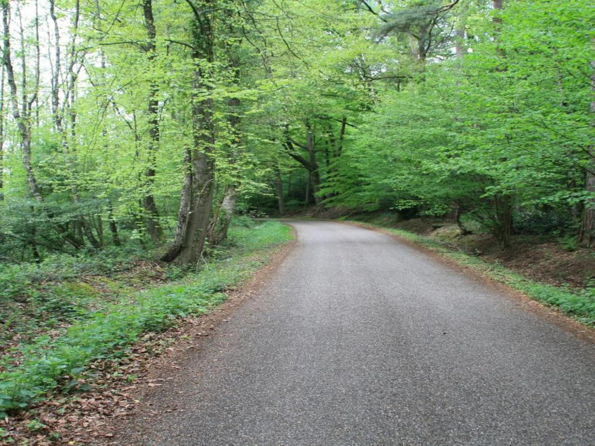 De omgeving van Chaletpark Kuiperberg 1 in Ootmarsum