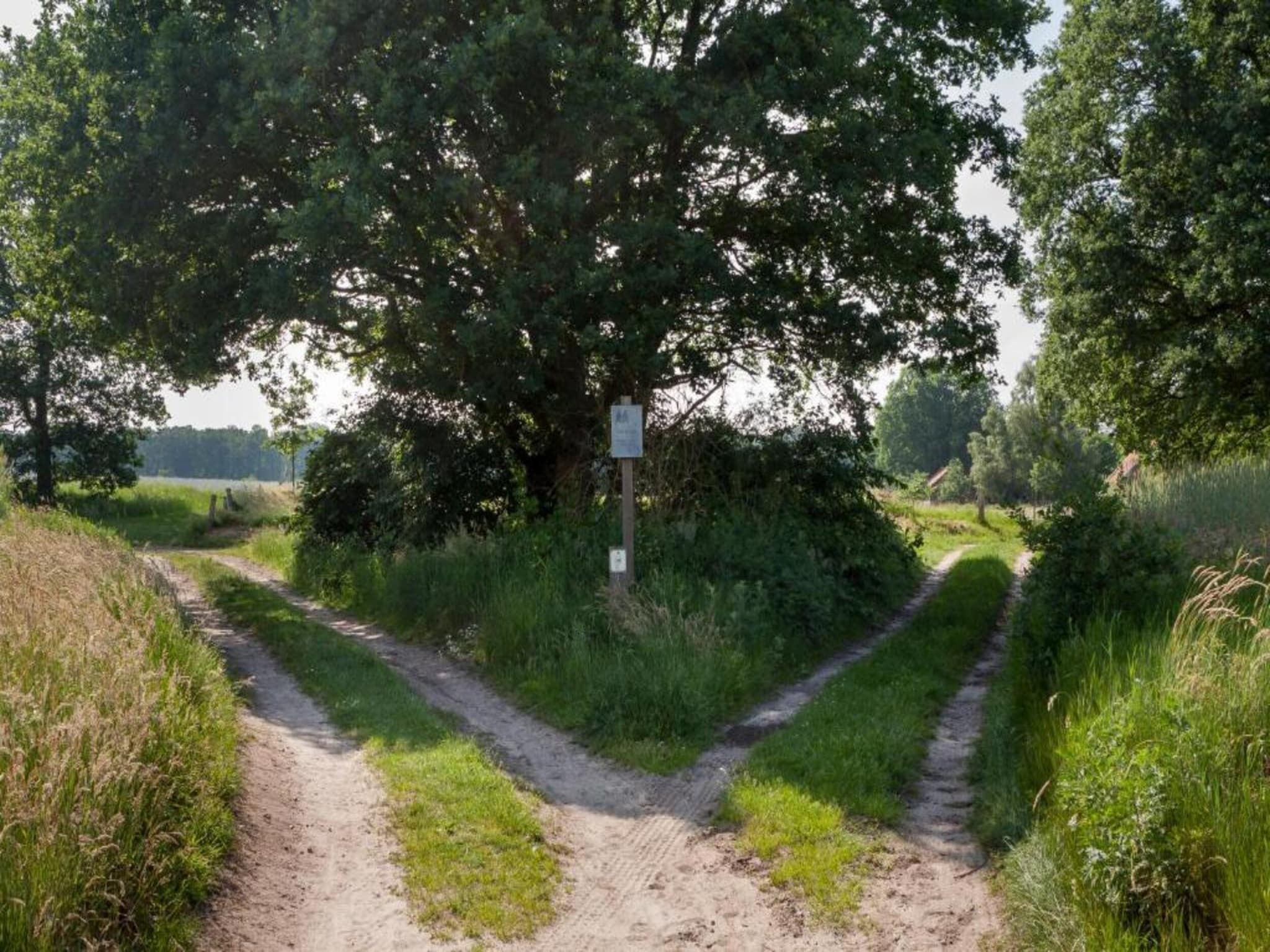De omgeving van Chaletpark Kuiperberg 1 in Ootmarsum