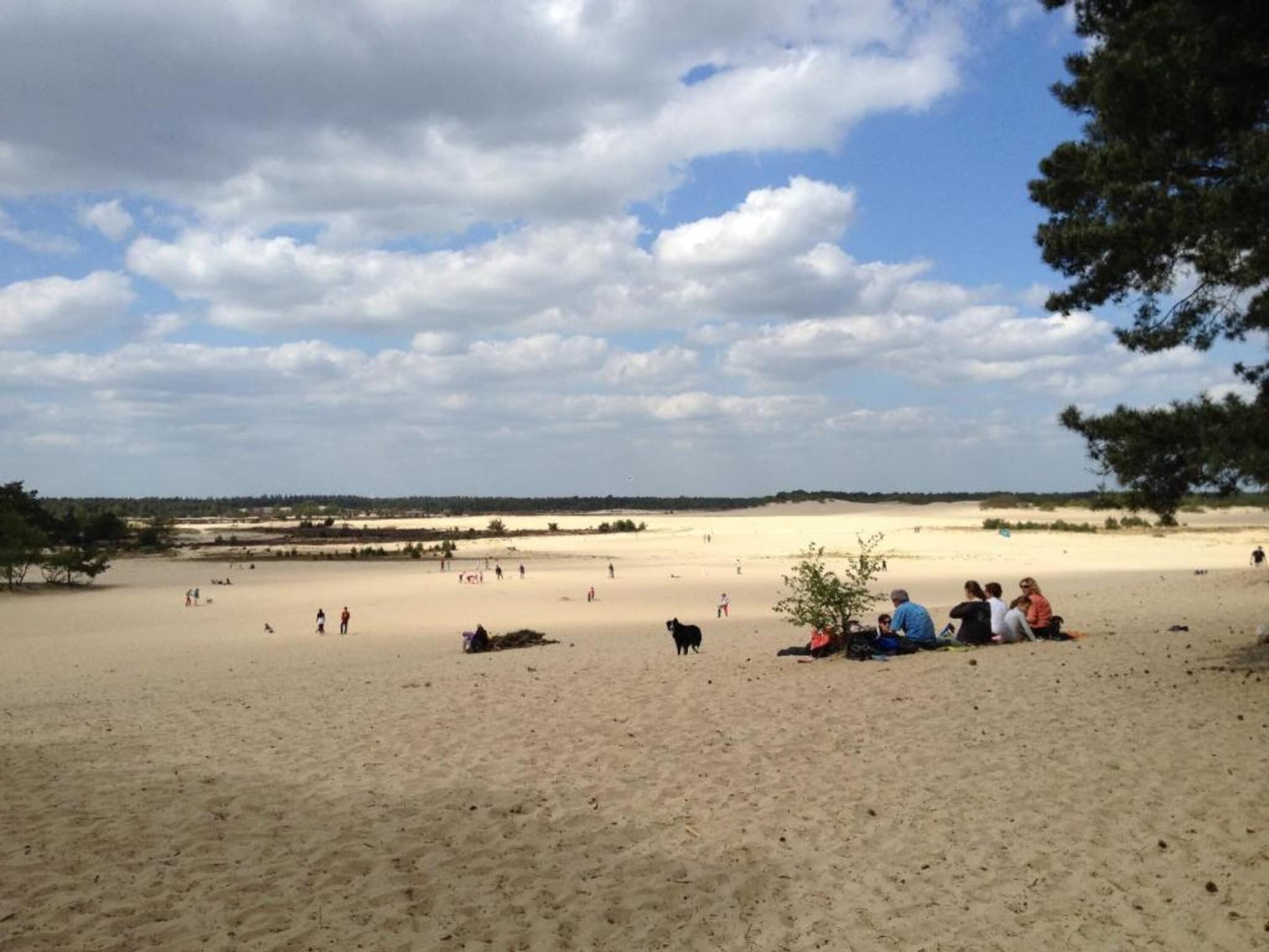 Recreatiepark Duinhoeve 1 in Udenhout - Foto 39 van 40