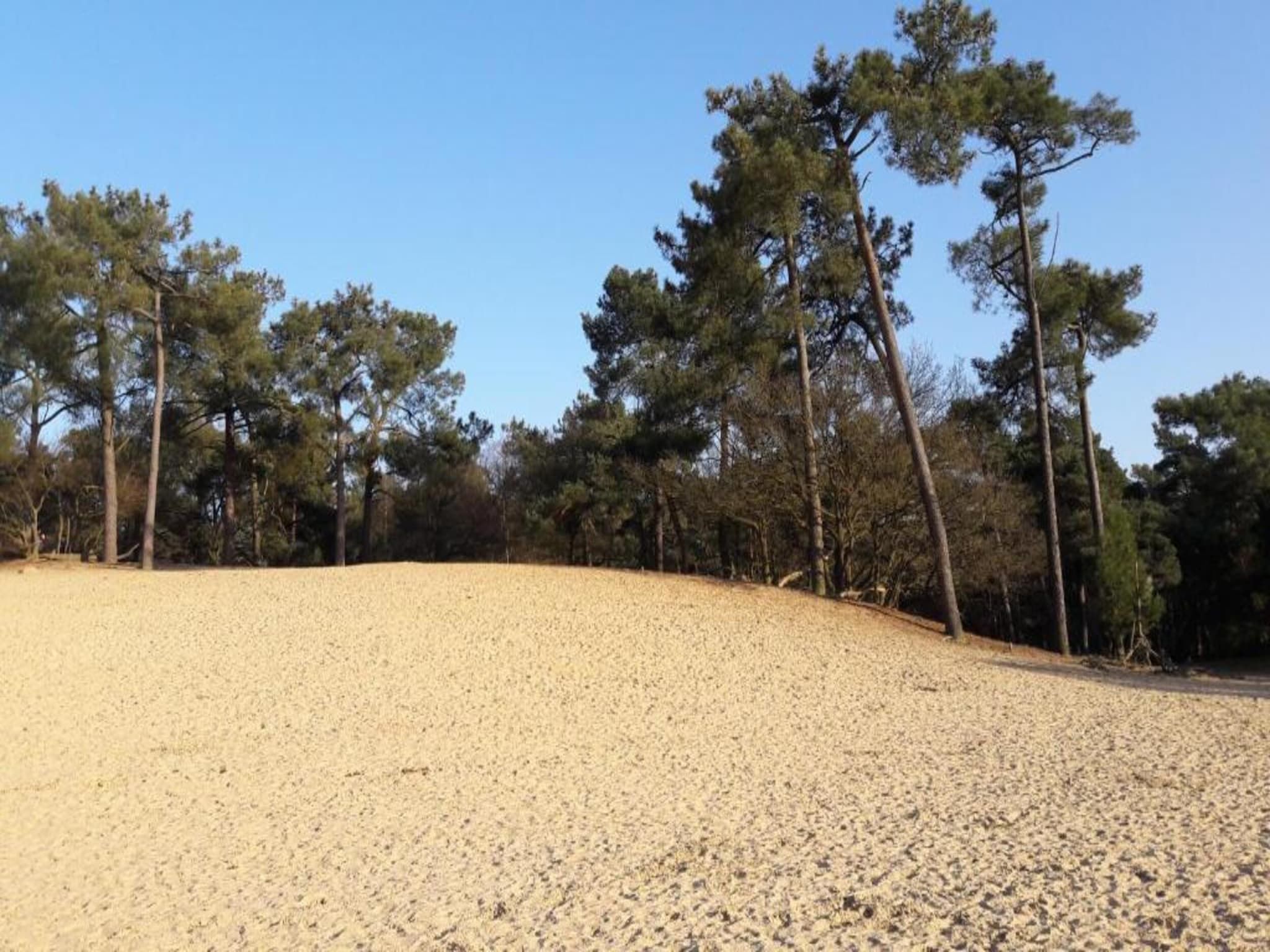 Recreatiepark Duinhoeve 1 in Udenhout - Foto 24 van 40