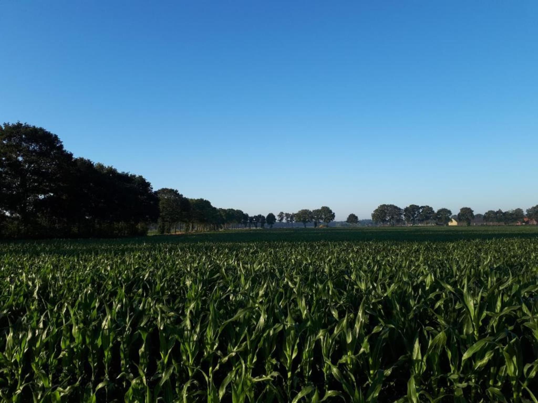 Buitenplaats Gerner 2 in Dalfsen - Foto 28 van 38