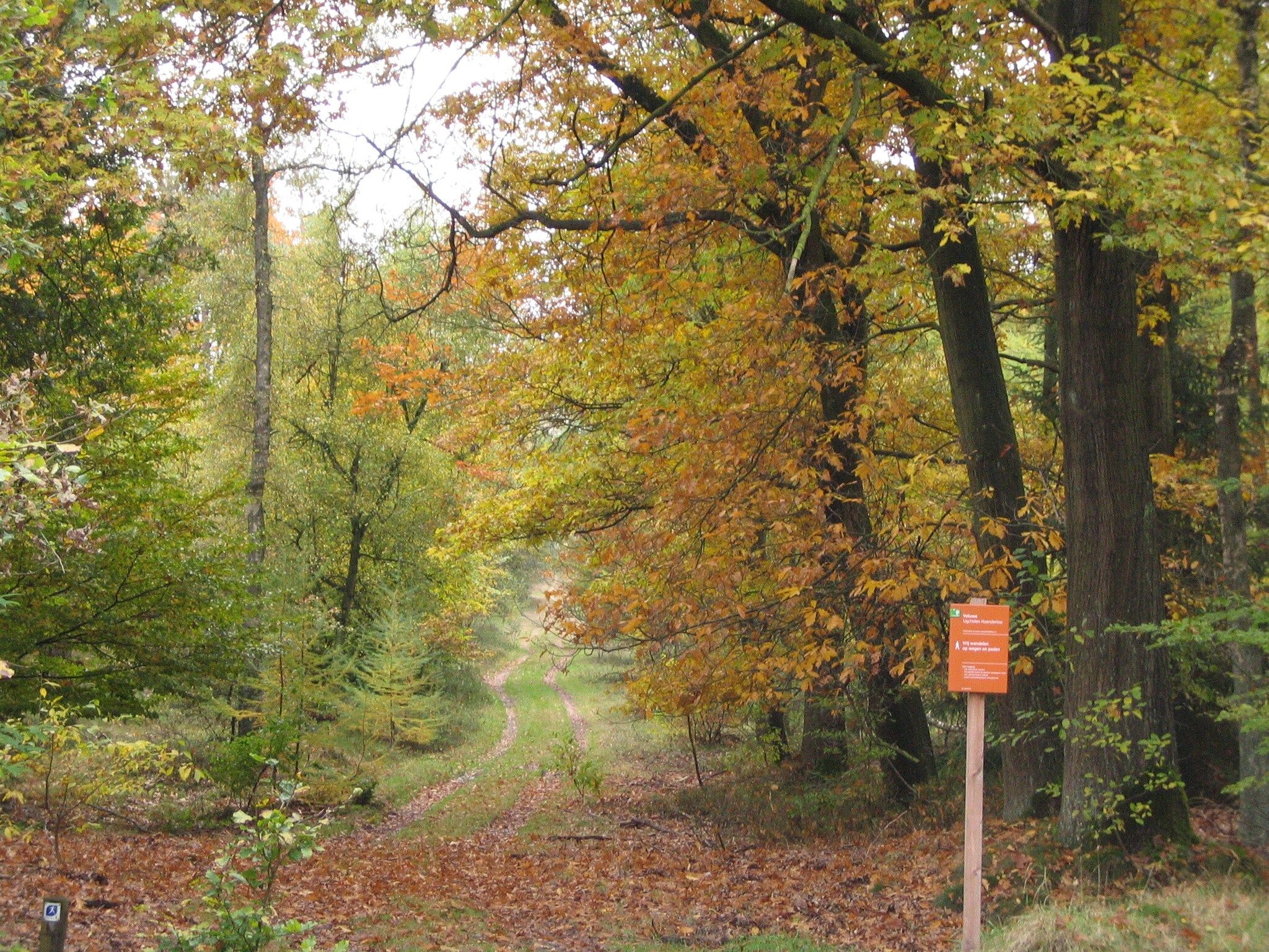 Bungalowpark Hoenderloo 3 in Hoenderloo - Foto 23 van 40