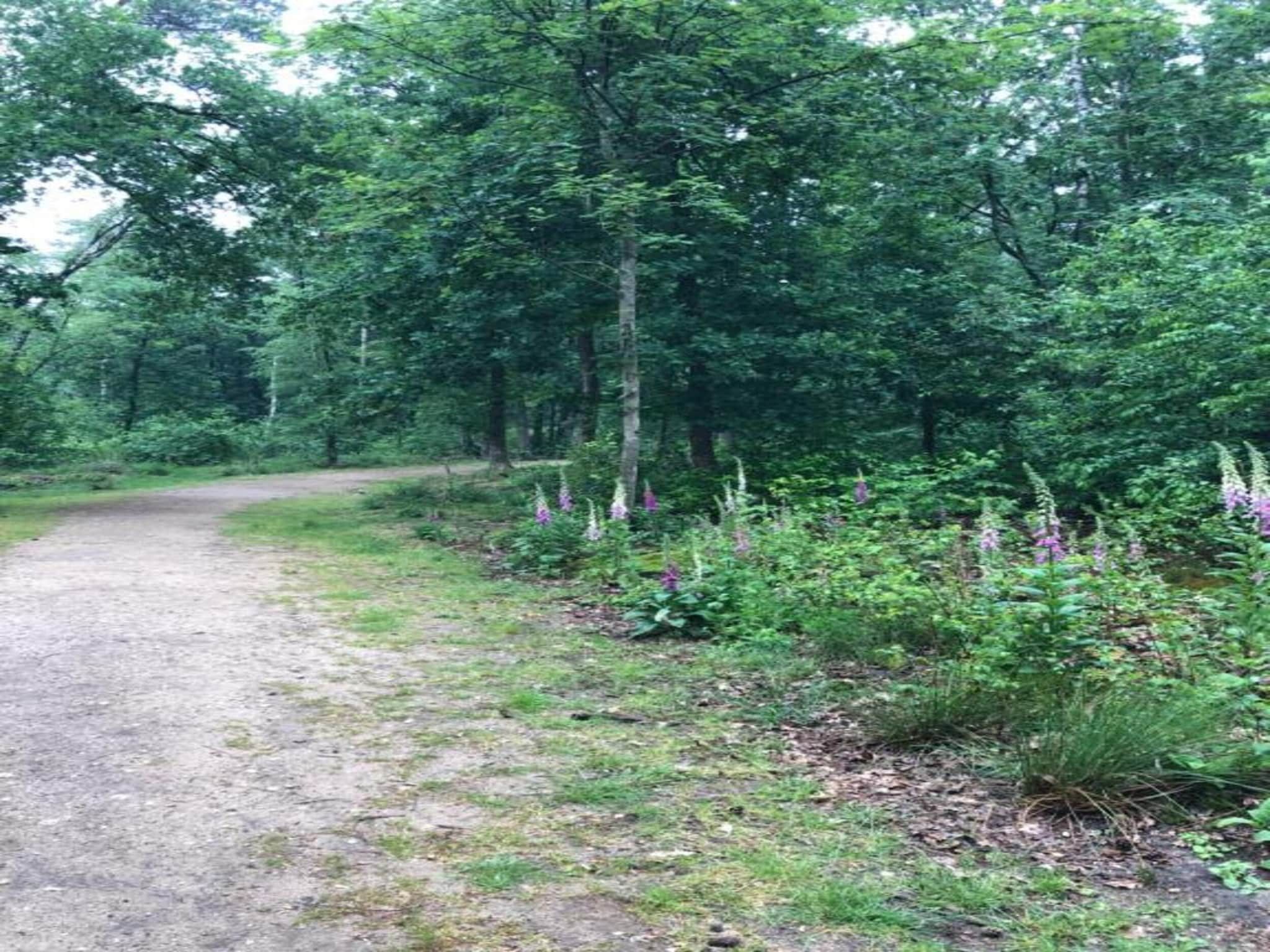 Bungalowpark Hoenderloo 3 in Hoenderloo - Foto 36 van 40