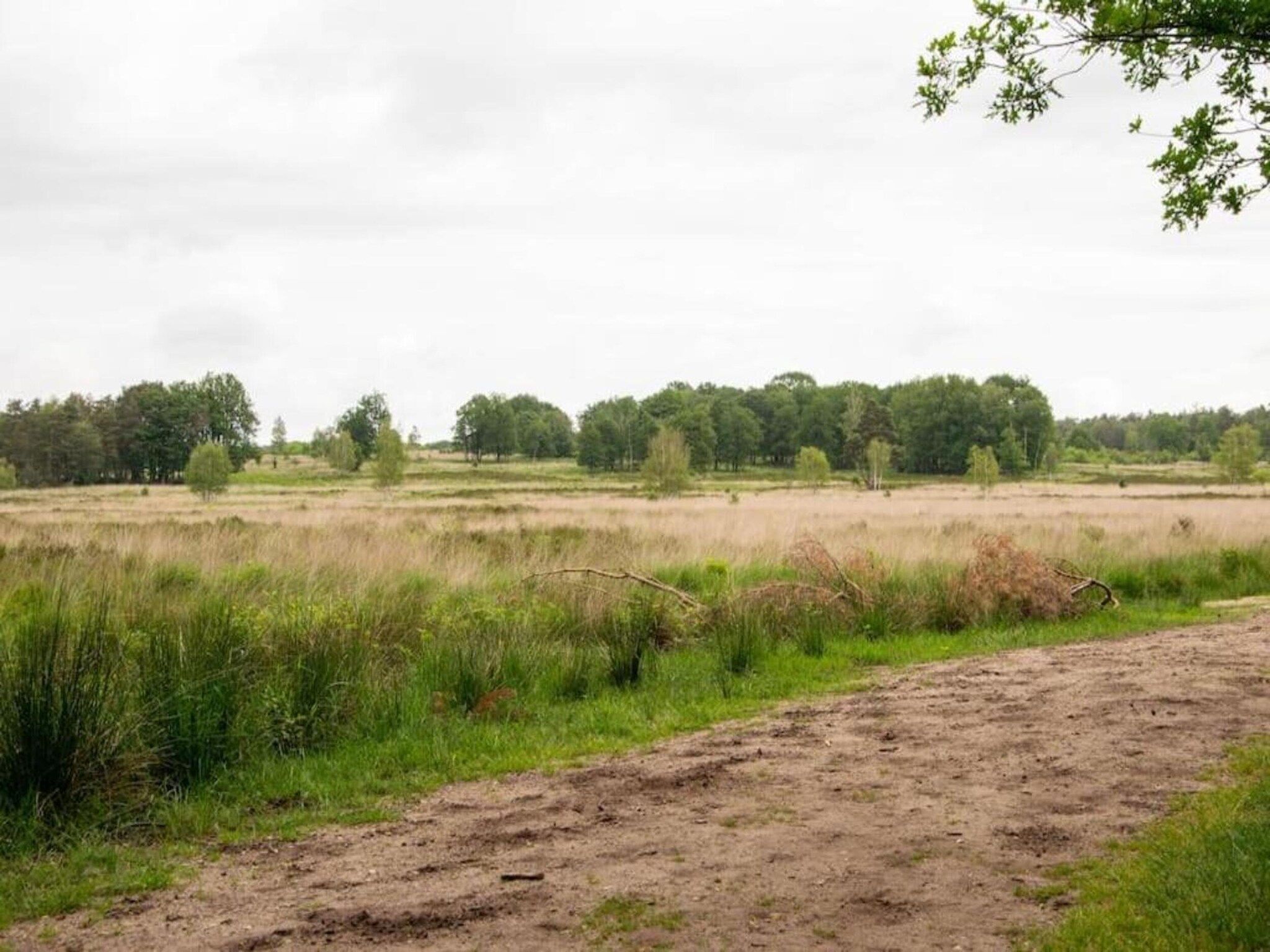 Bungalowpark Hoenderloo 3 in Hoenderloo - Foto 38 van 40