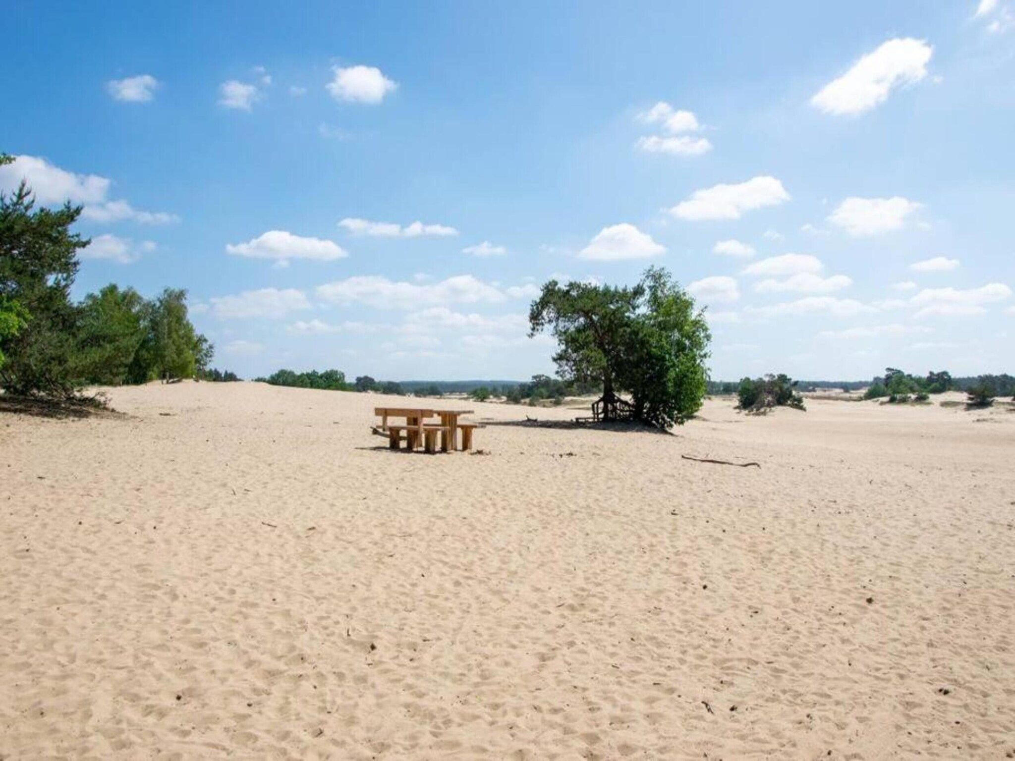 Bungalowpark Hoenderloo 3 in Hoenderloo - Foto 32 van 40