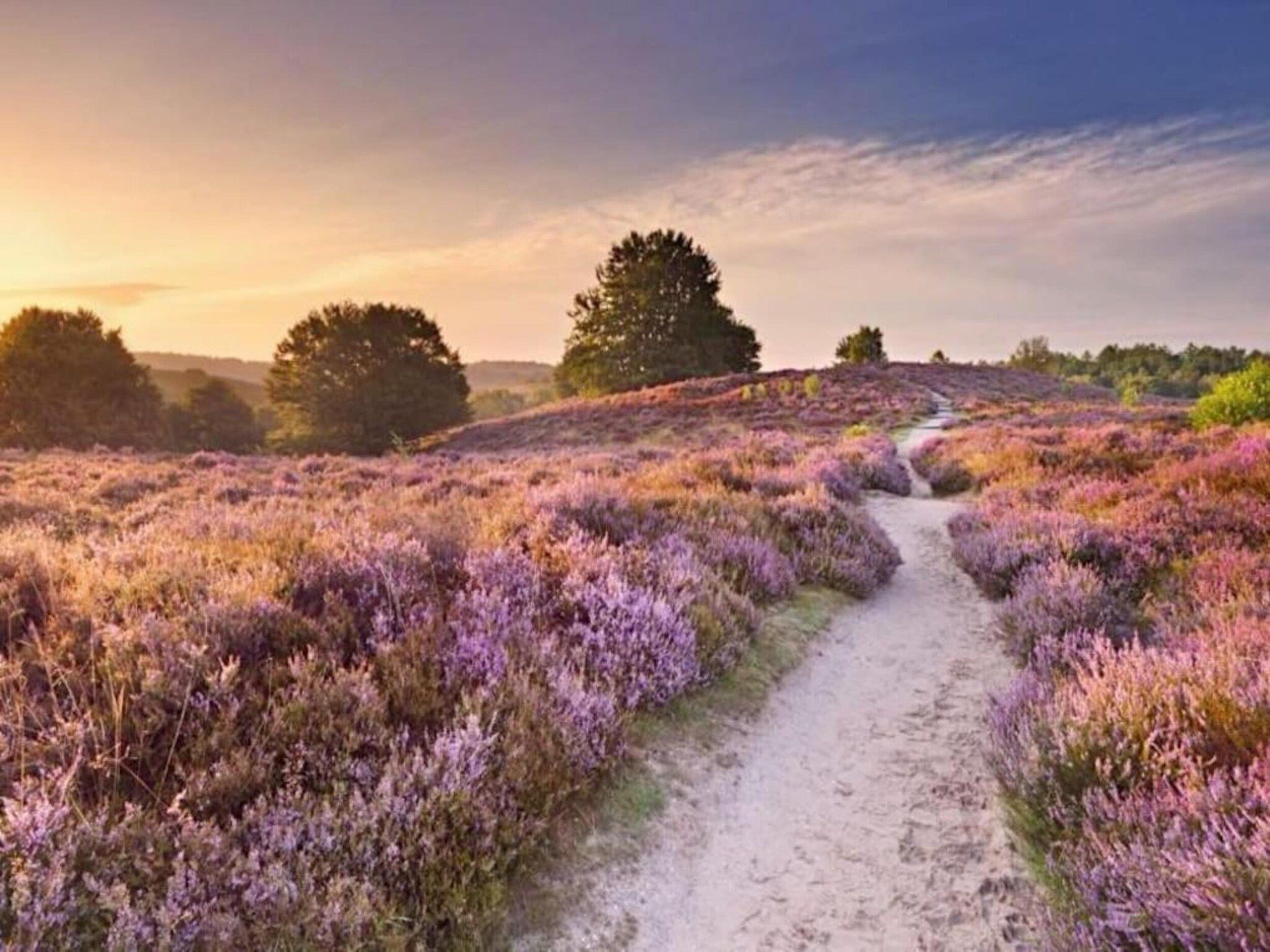 Bungalowpark Hoenderloo 3 in Hoenderloo - Foto 33 van 40