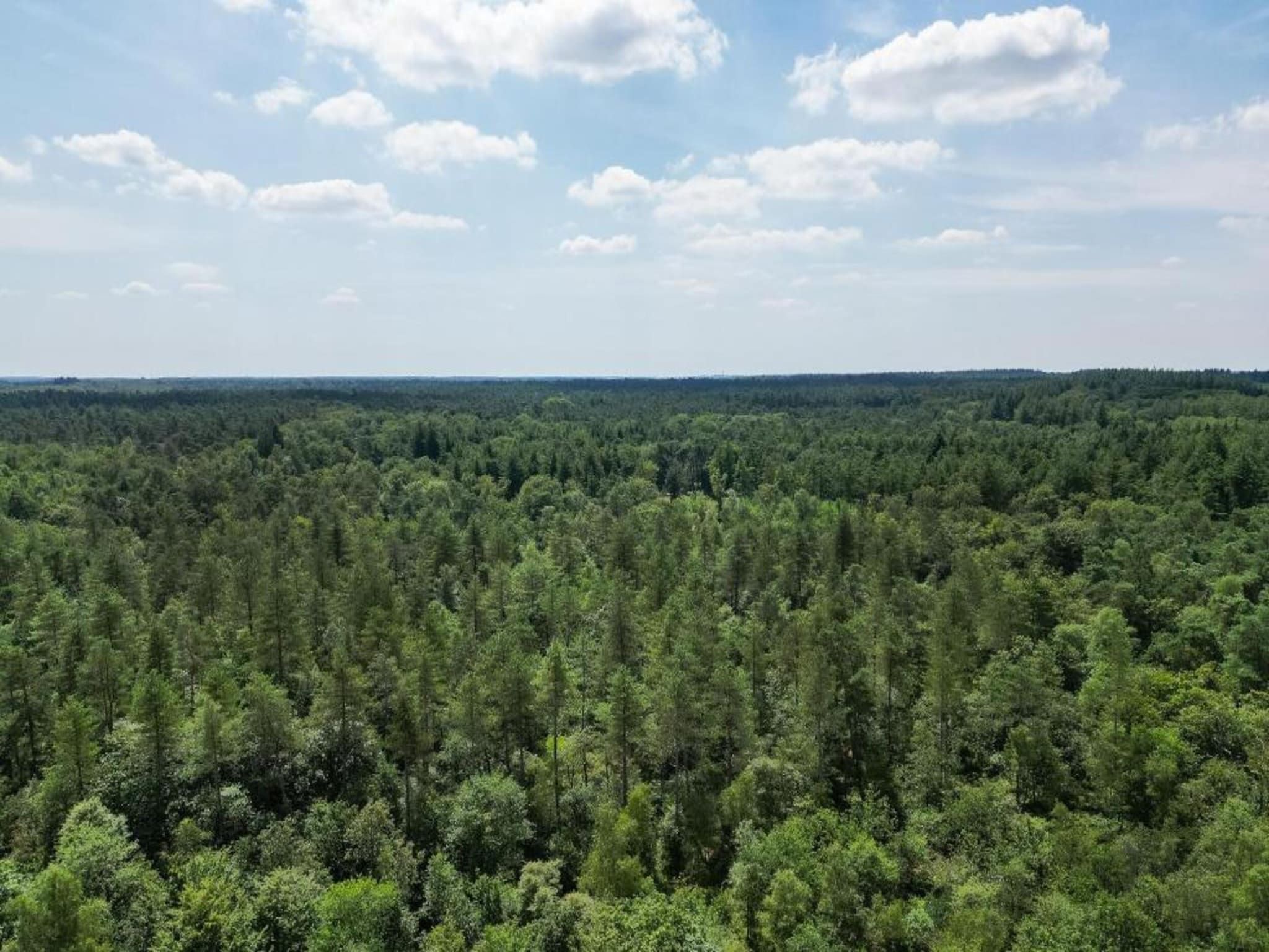 Bungalowpark Hoenderloo 3 in Hoenderloo - Foto 31 van 40