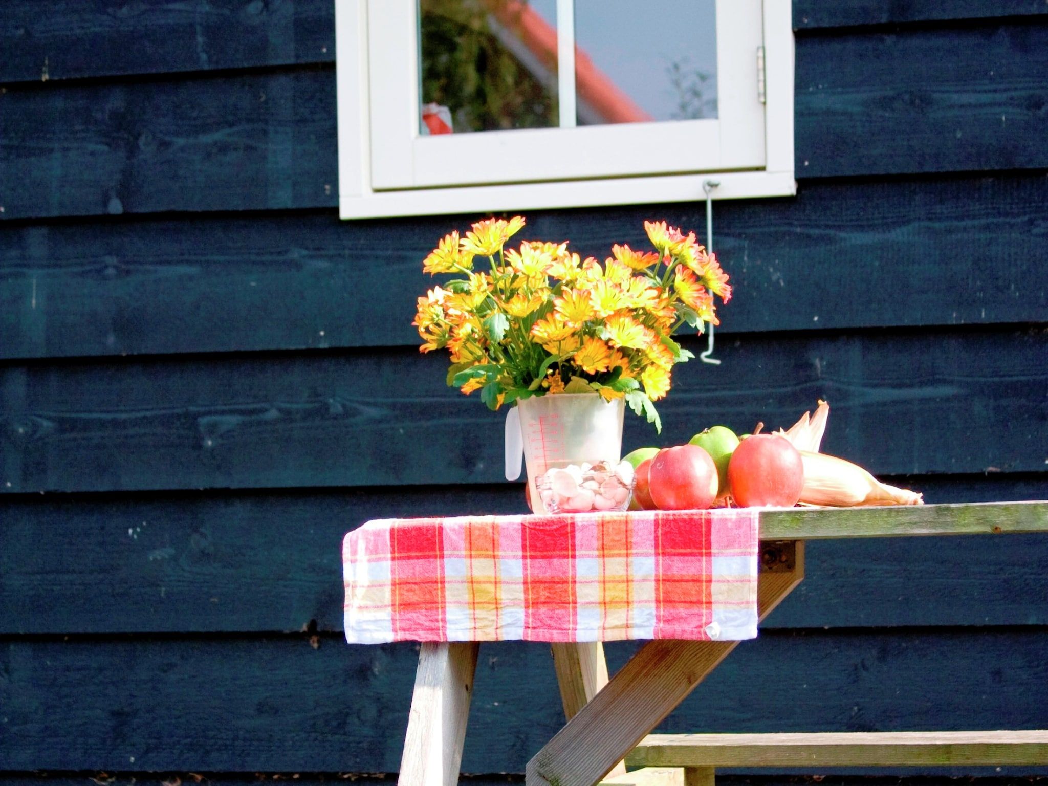 Het terras van Recreatiepark de Stelhoeve 4 in Wemeldinge