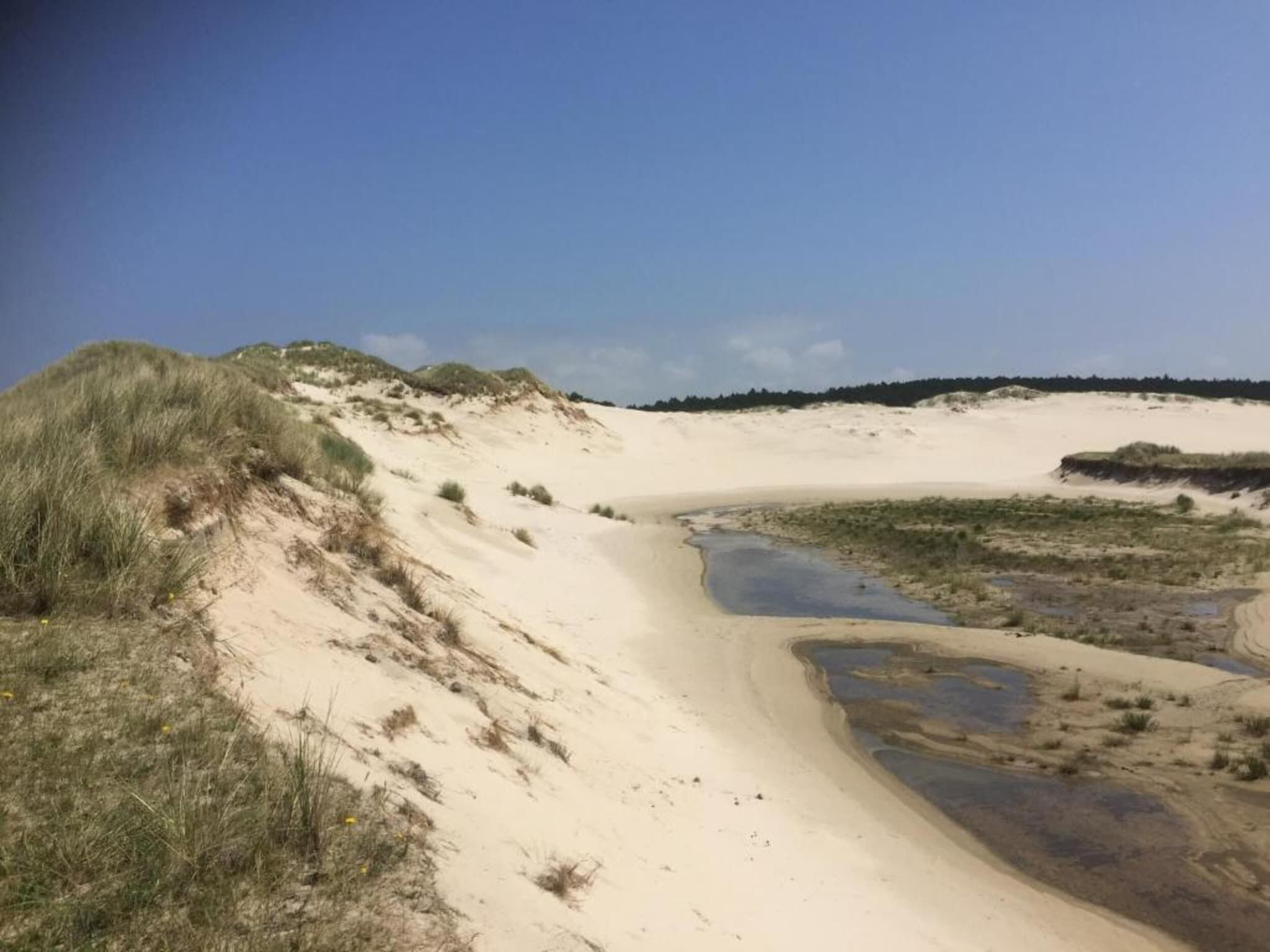 Het Roefje in Bergen - Foto 25 van 36