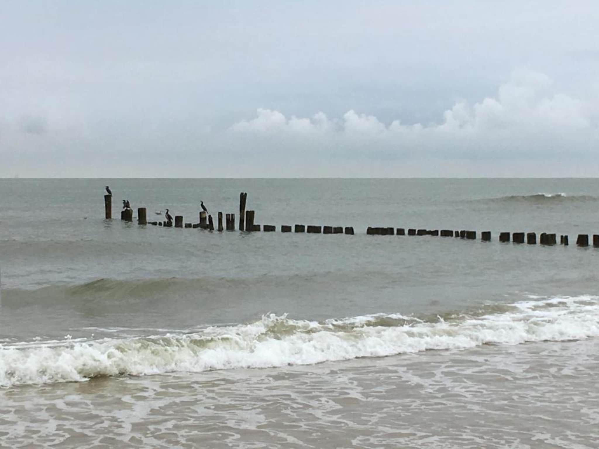 Het Roefje in Bergen - Foto 28 van 36