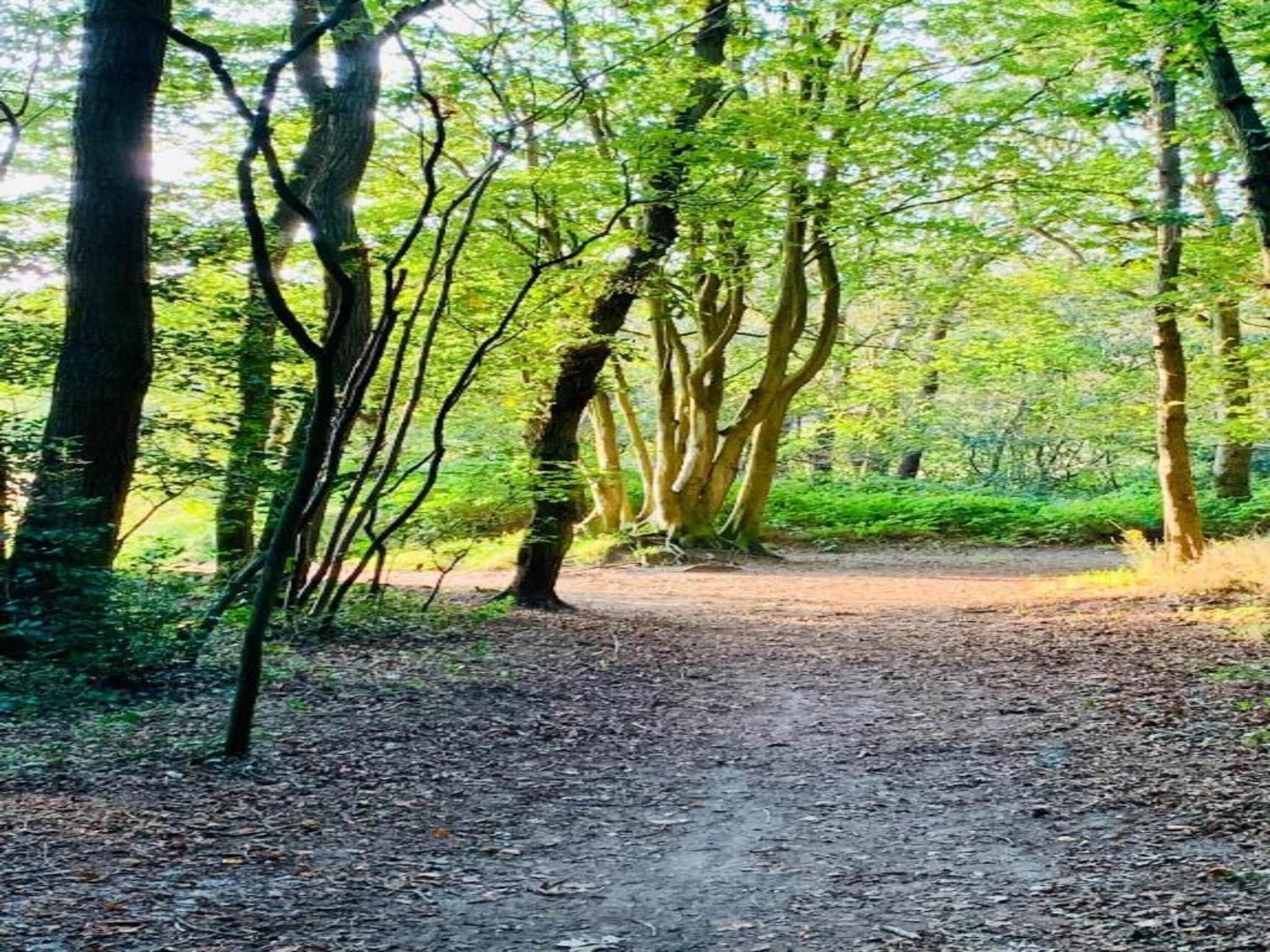 Het Roefje in Bergen - Foto 31 van 36