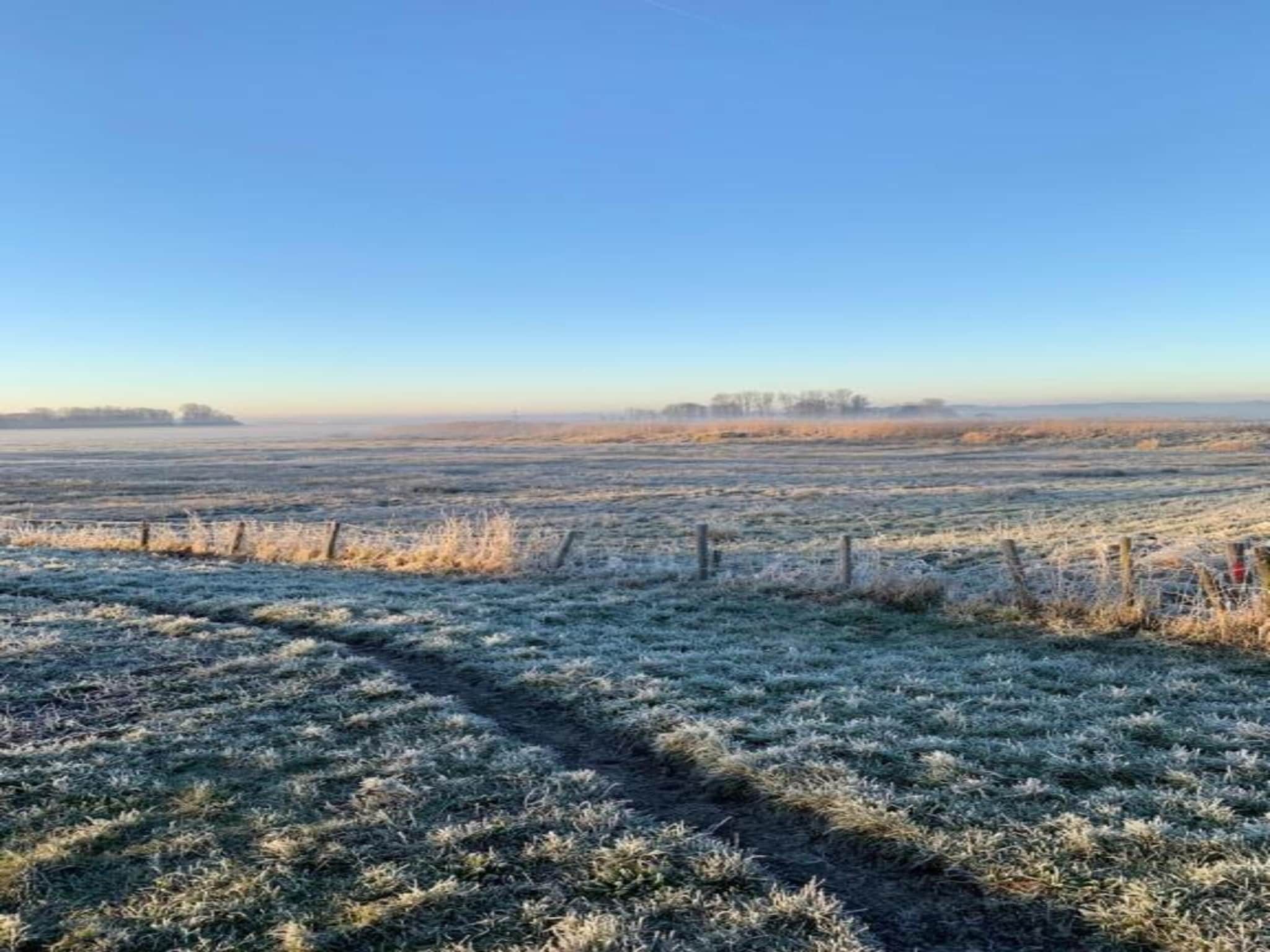 Het Roefje in Bergen - Foto 33 van 36