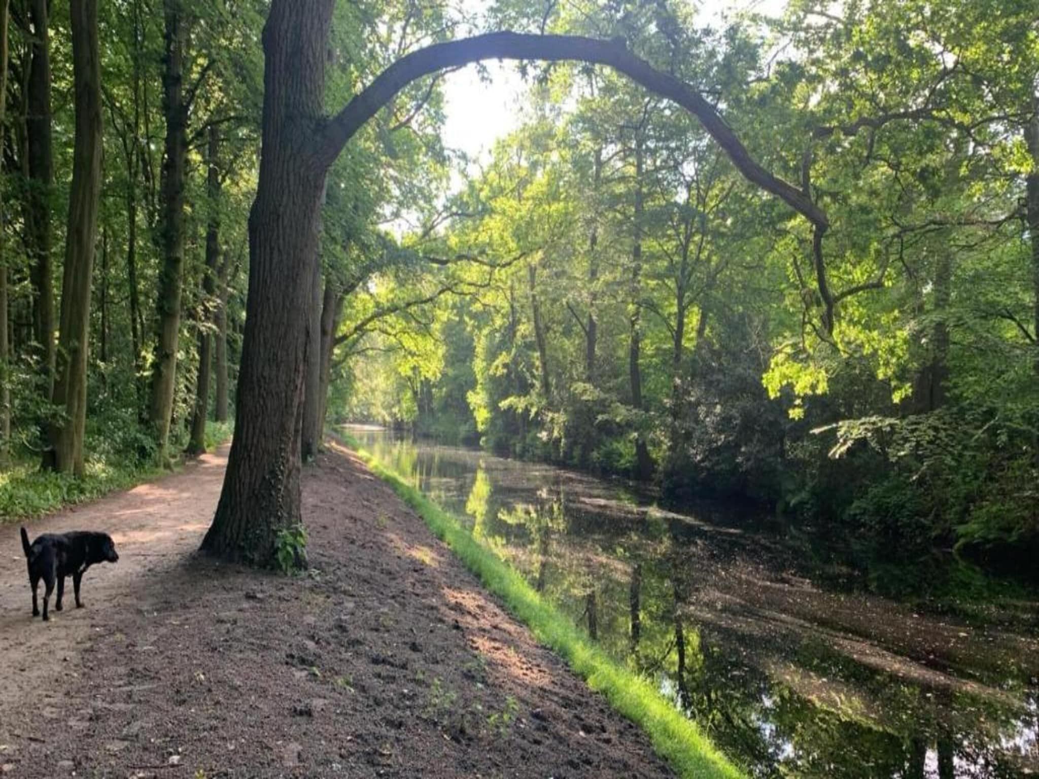 Het Roefje in Bergen - Foto 34 van 36