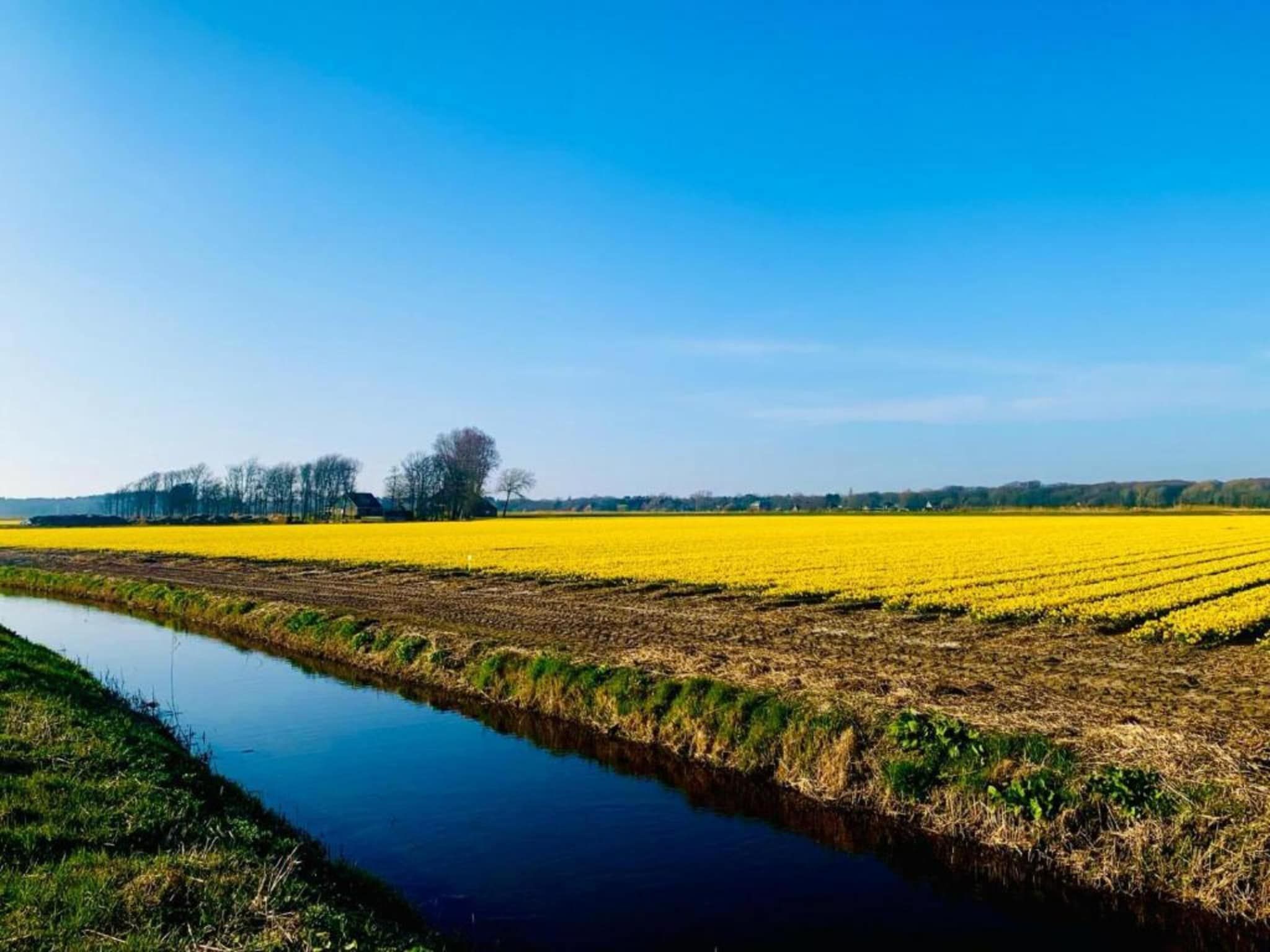 Het Roefje in Bergen - Foto 23 van 36