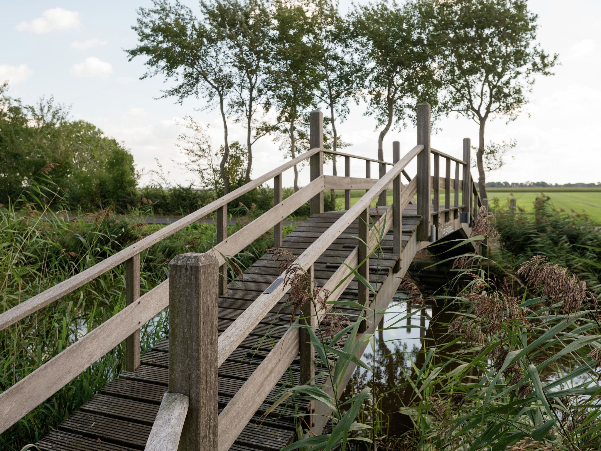 Harrekidee in Sint Maartensbrug - Foto 15 van 29