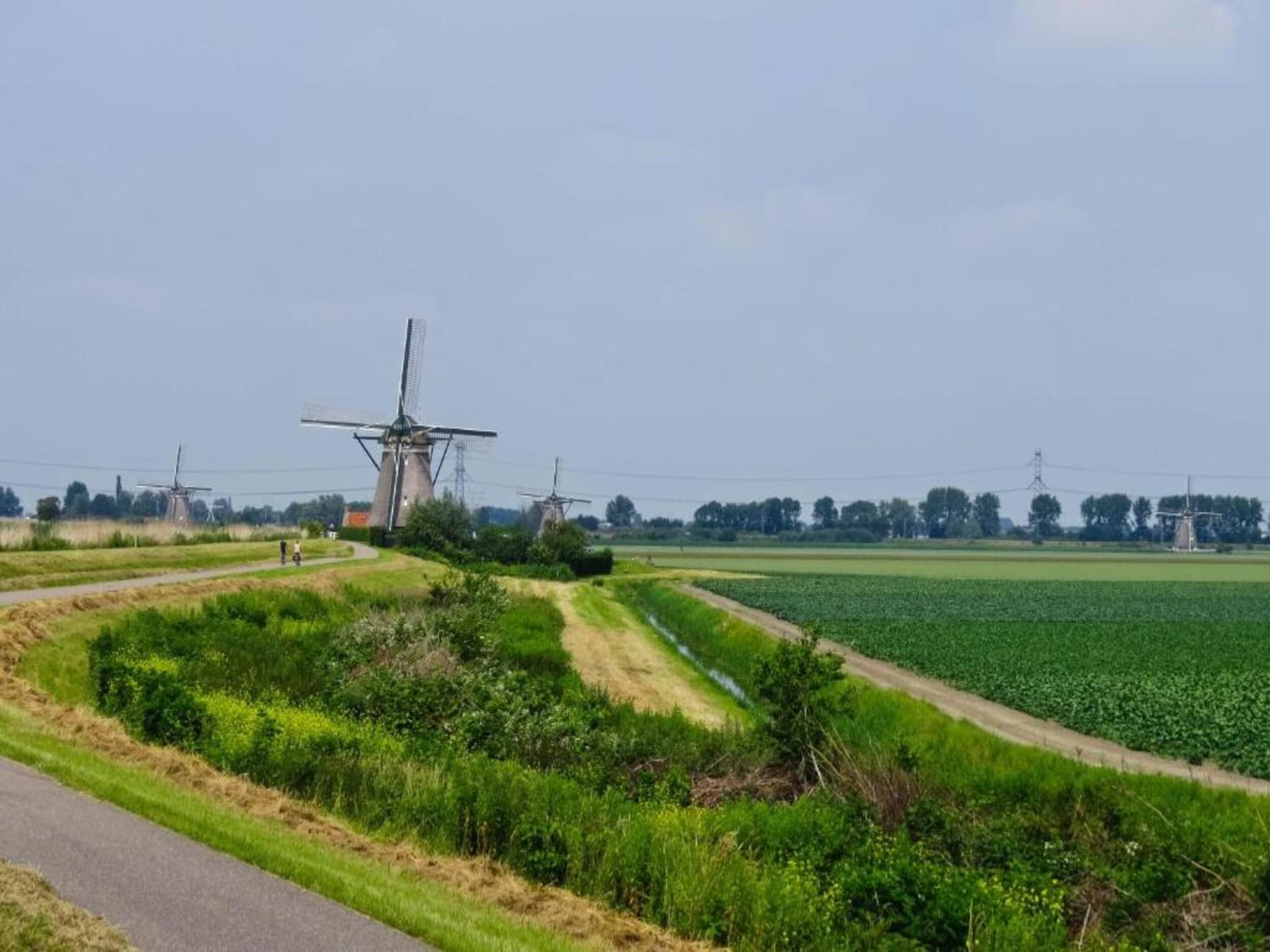 Harrekidee in Sint Maartensbrug - Foto 25 van 29