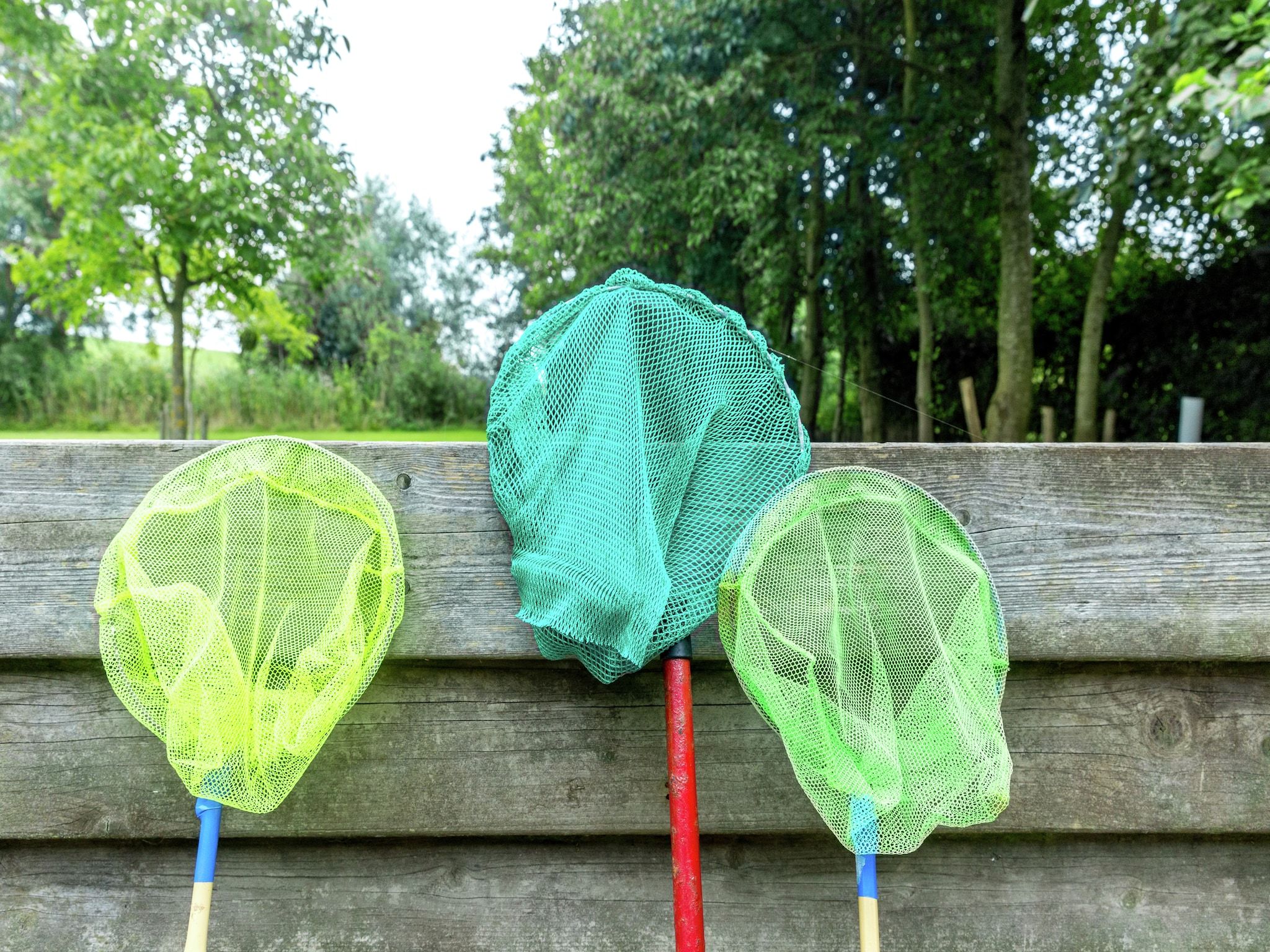 Sfeerbeeld van Het Karreveld in Zonnemaire