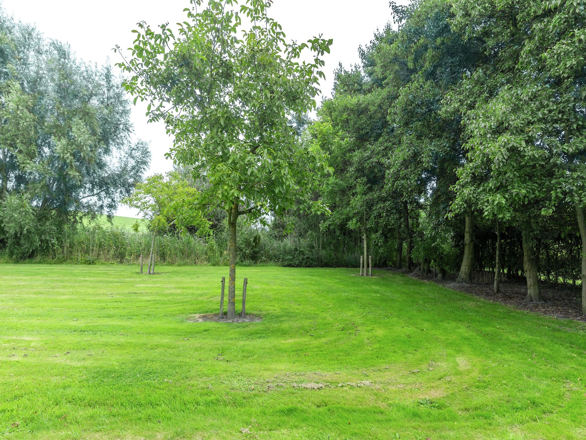 De tuin van De Notenweide in Zonnemaire