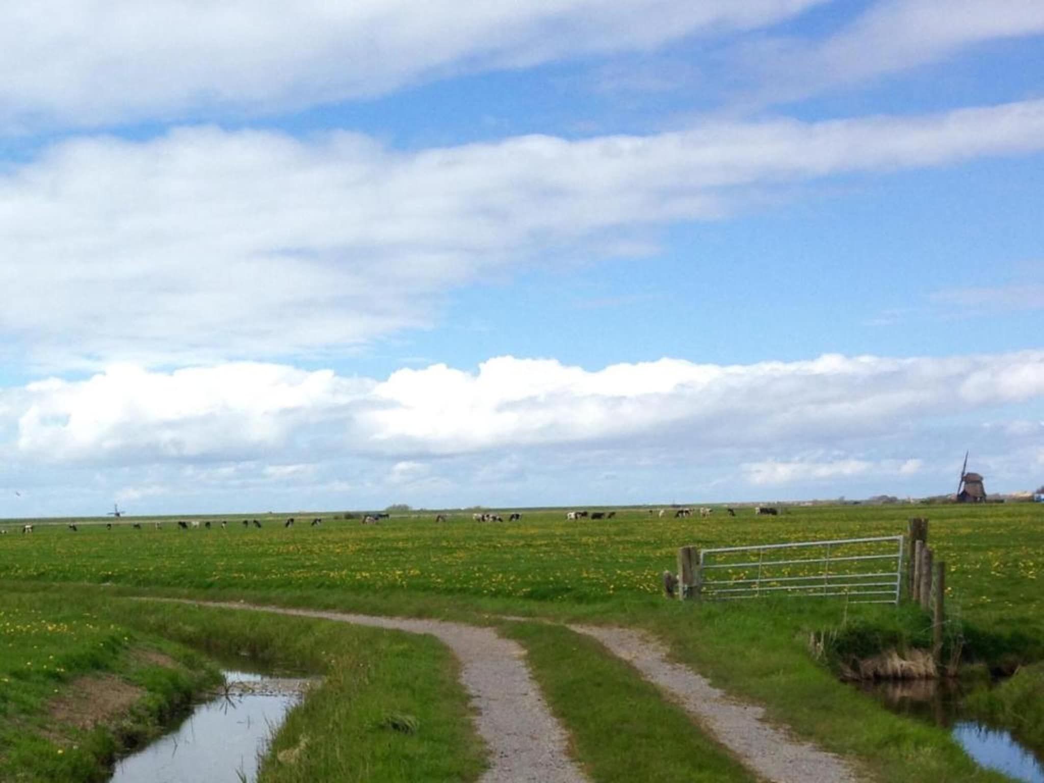Vier Duinen in Oostkapelle - Foto 39 van 40