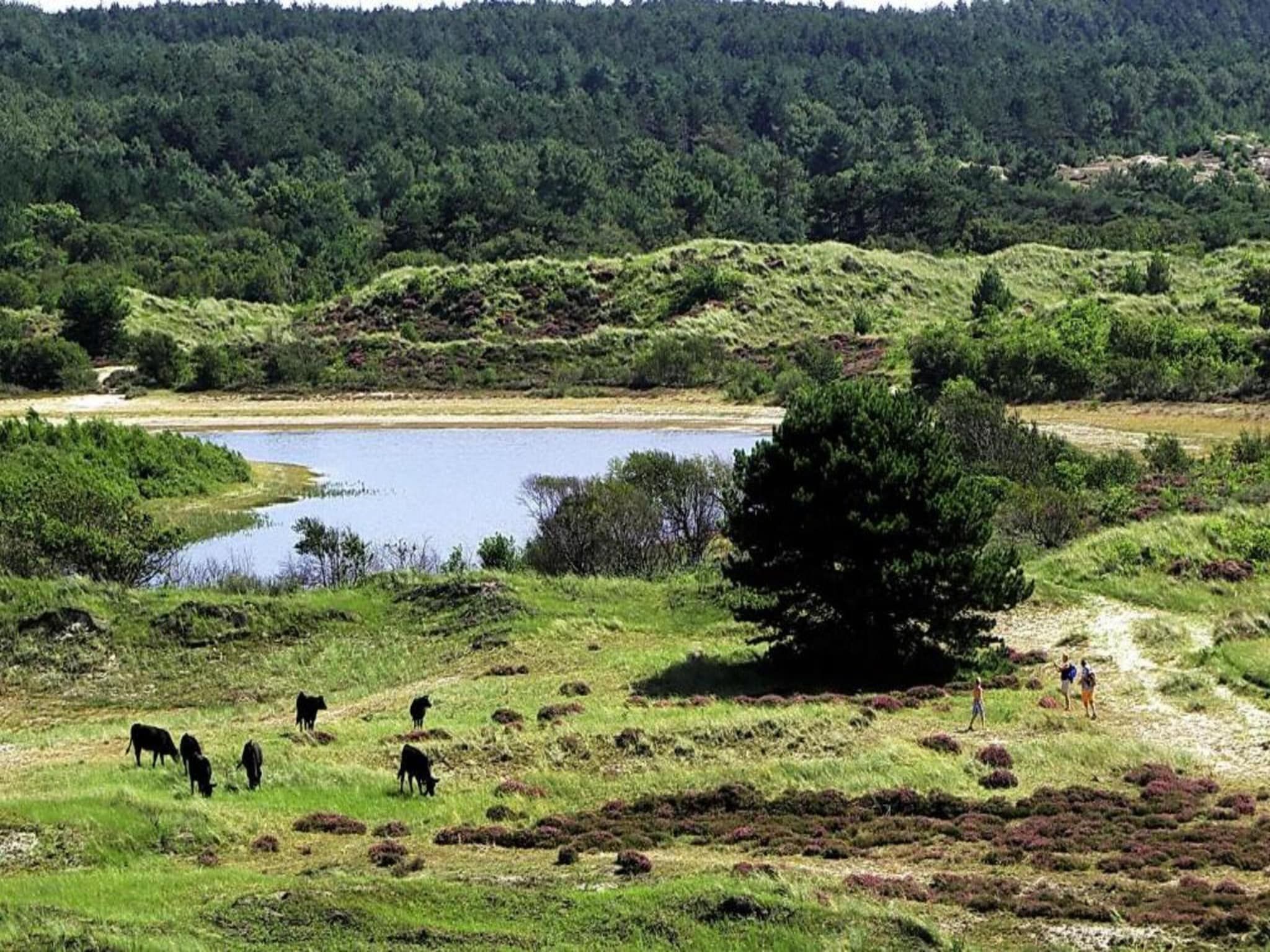 Vier Duinen in Oostkapelle - Foto 33 van 40