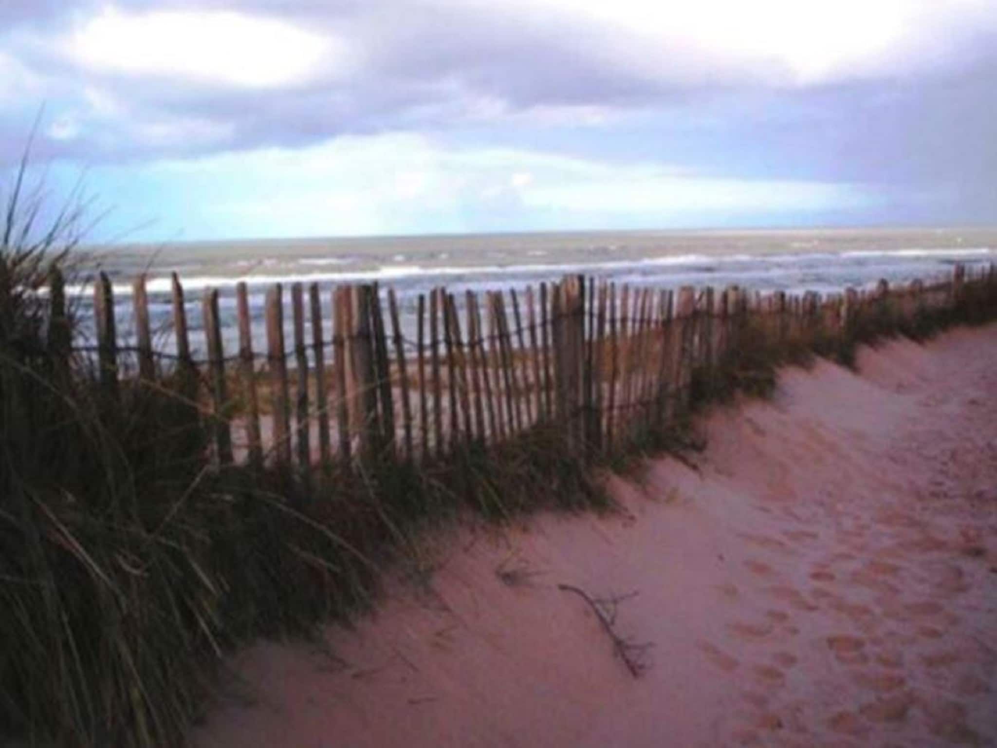 Helmgras I in Egmond aan zee - Foto 19 van 40