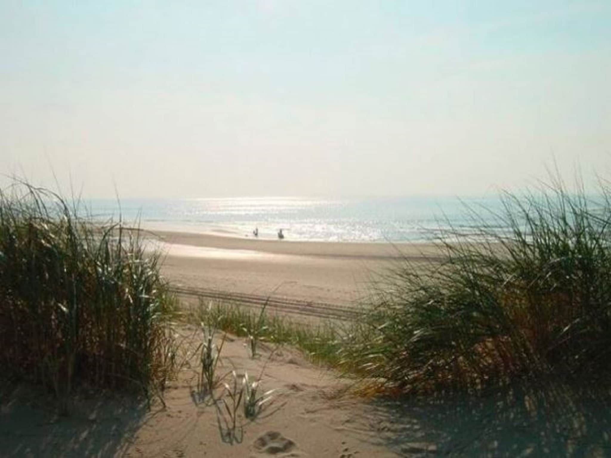 Helmgras I in Egmond aan zee - Foto 20 van 40