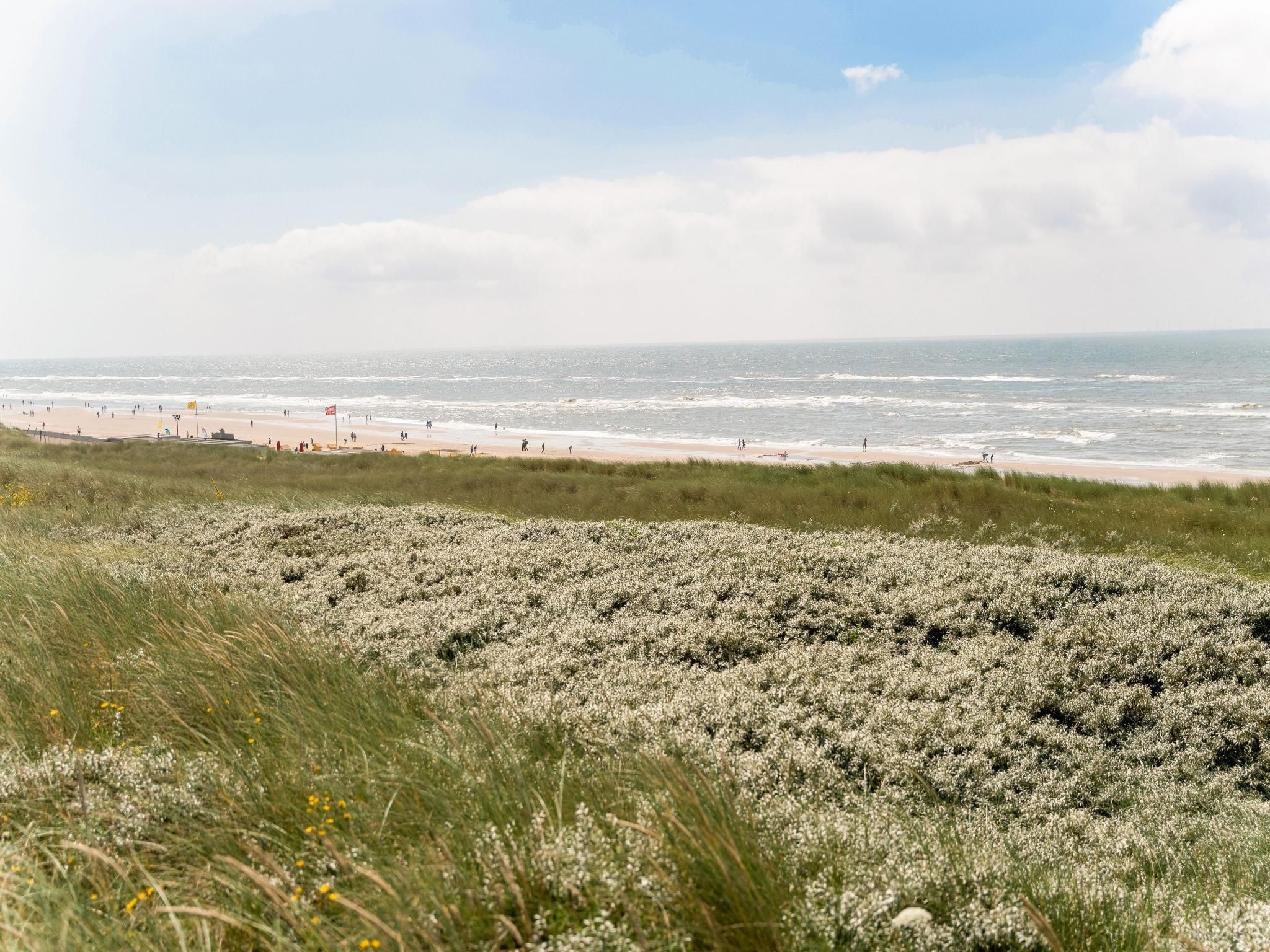 Helmgras I in Egmond aan zee - Foto 10 van 40