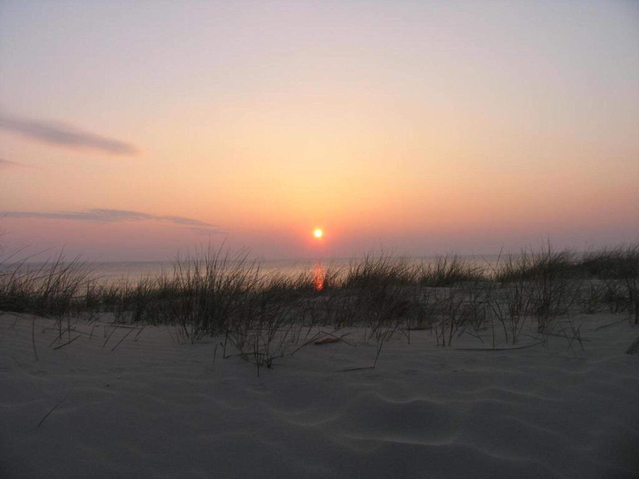 Helmgras I in Egmond aan zee - Foto 21 van 40