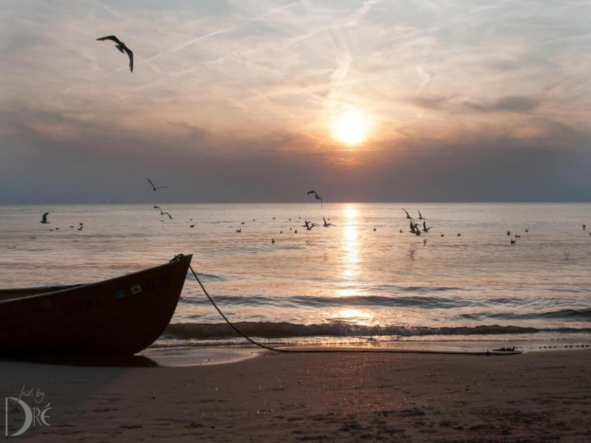 Helmgras I in Egmond aan zee - Foto 17 van 40