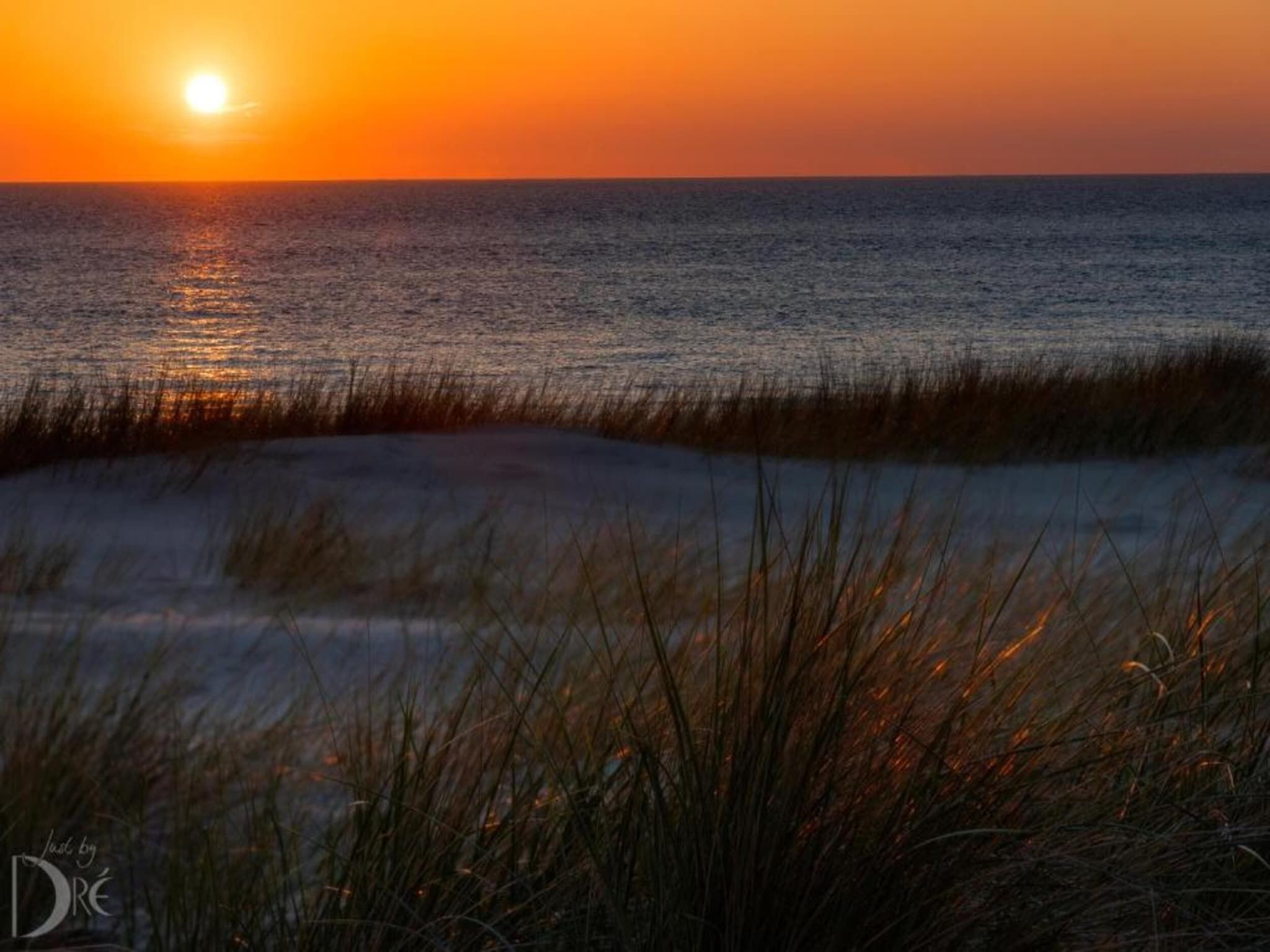 Helmgras I in Egmond aan zee - Foto 14 van 40