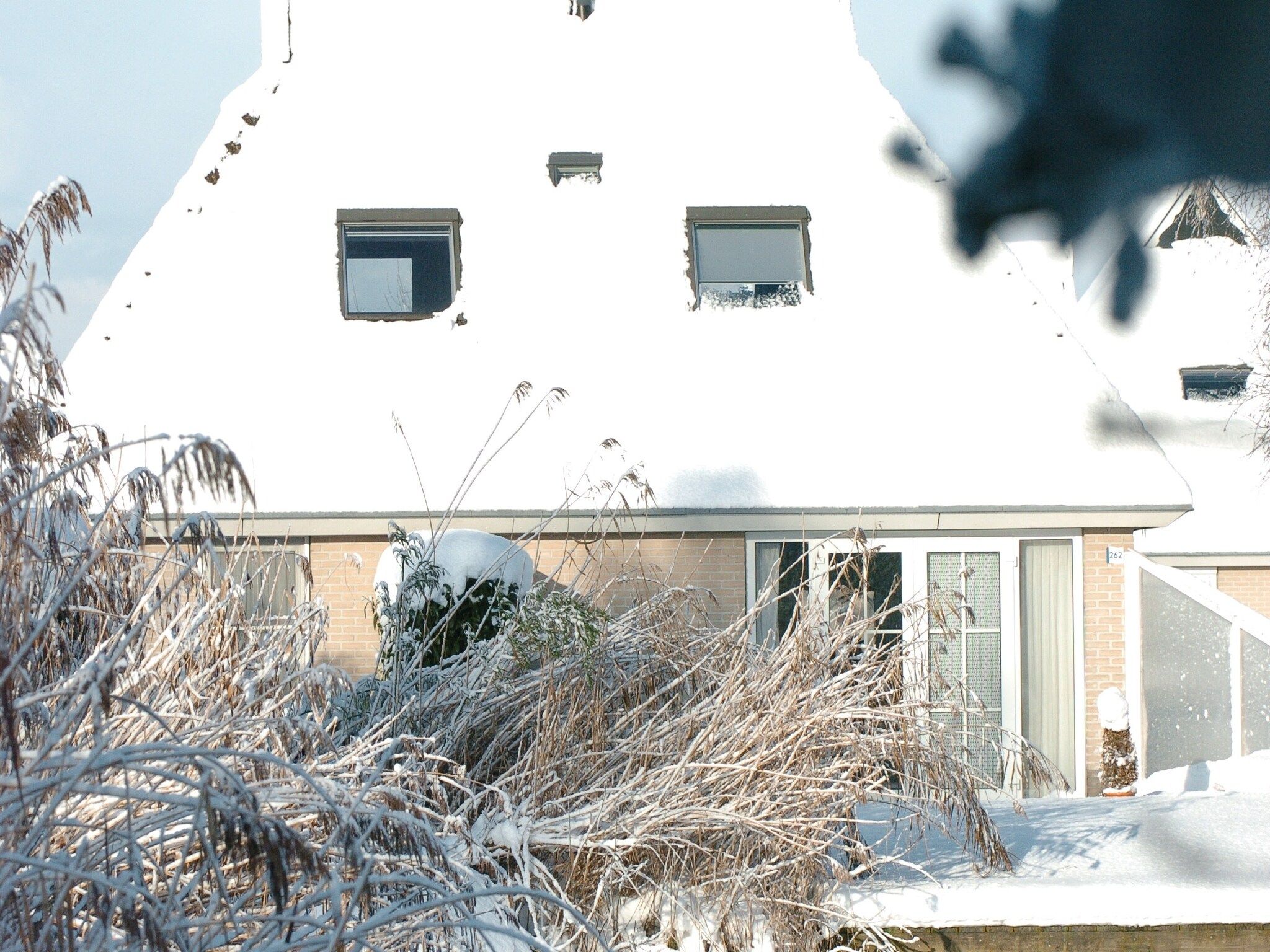 De tuin van Wellness aan het Water in Eernewolde in Earnewald