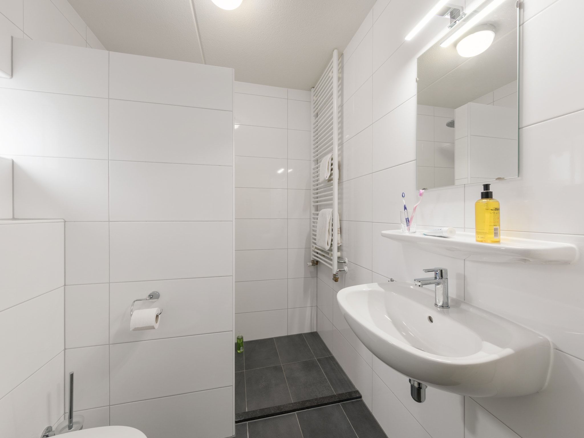 De badkamer van Villapark De Weerribben 5 in Paasloo