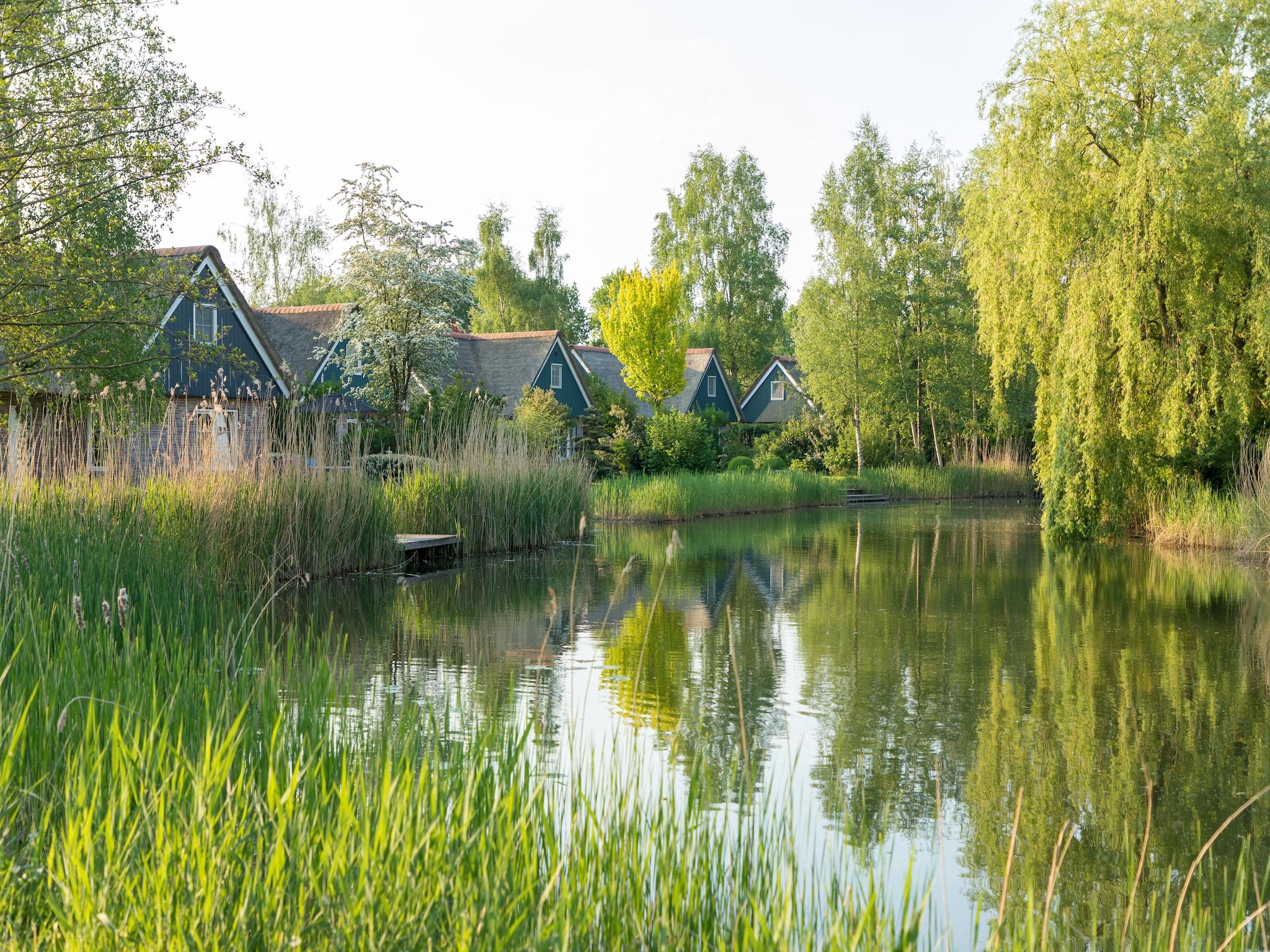 Parkfaciliteiten bij Villapark De Weerribben 5 in Paasloo