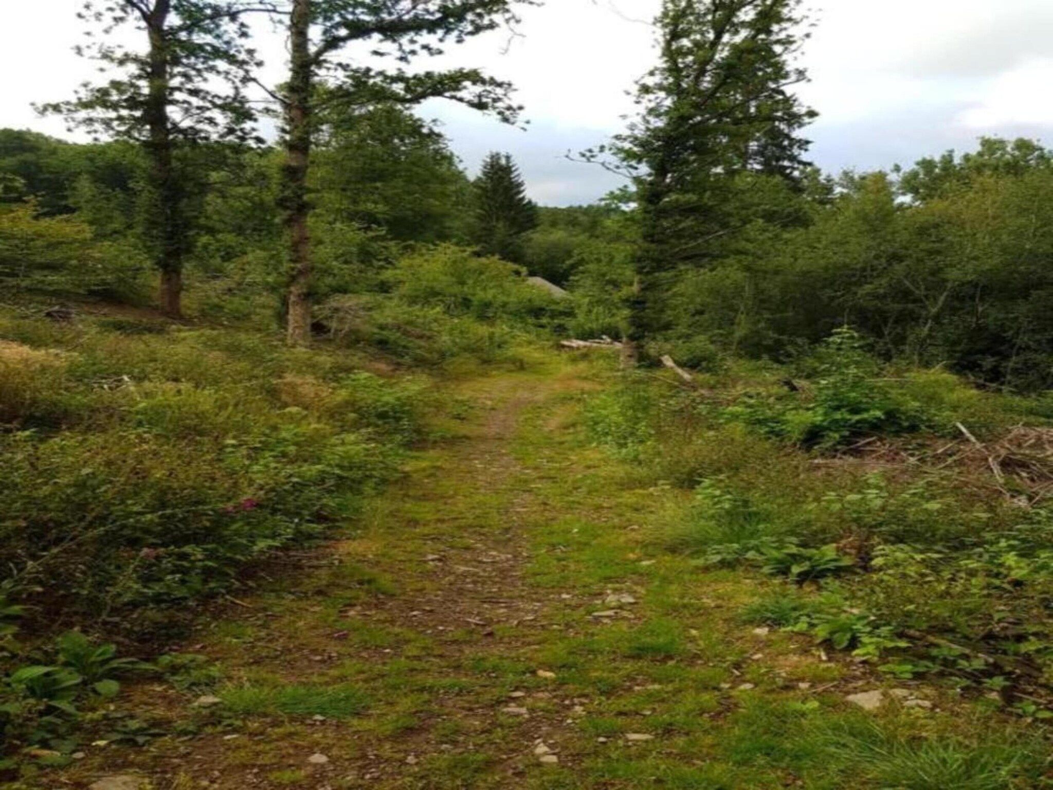 De omgeving van Villapark De Weerribben 5 in Paasloo