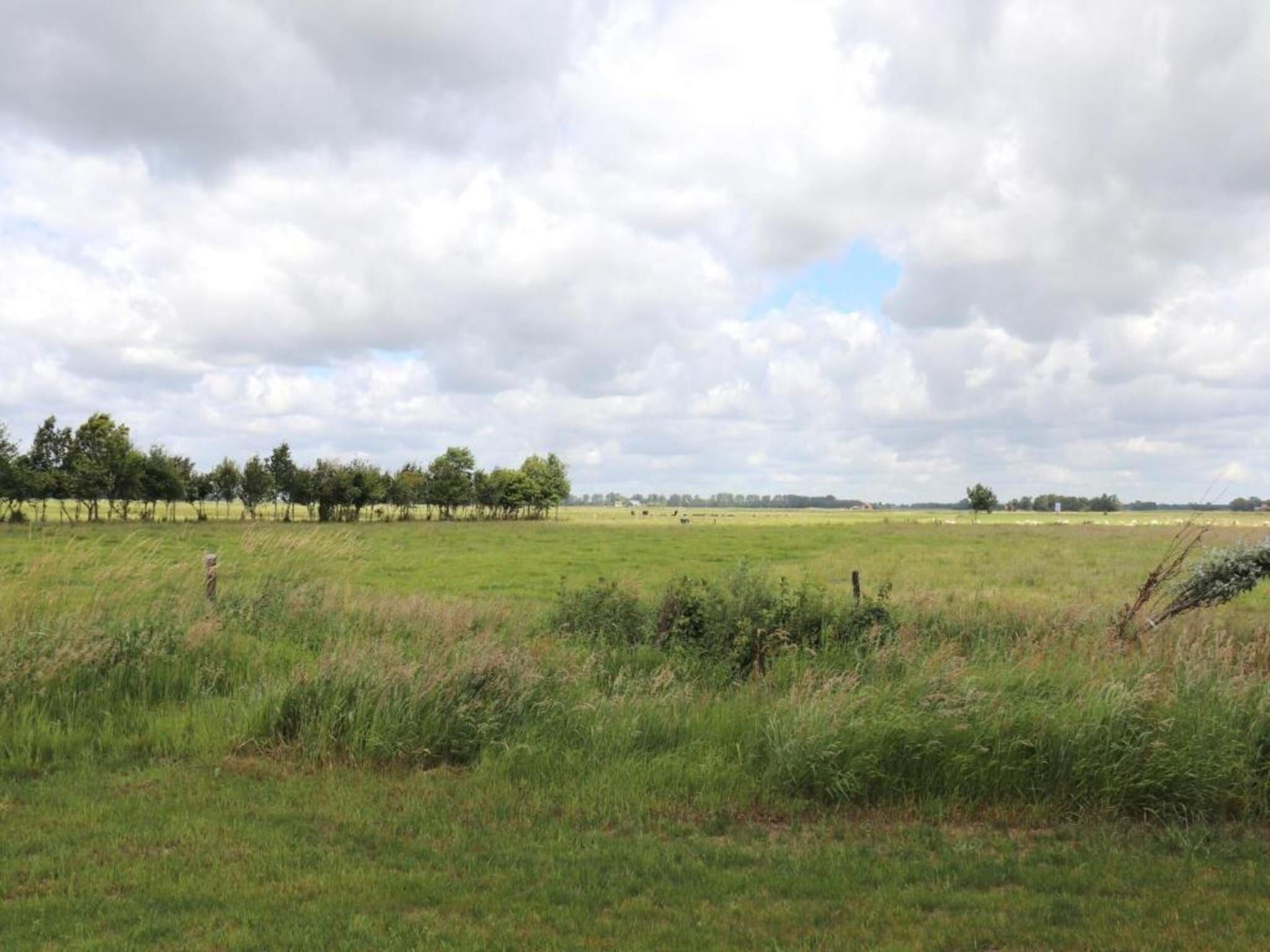 De omgeving van Villapark De Weerribben 5 in Paasloo