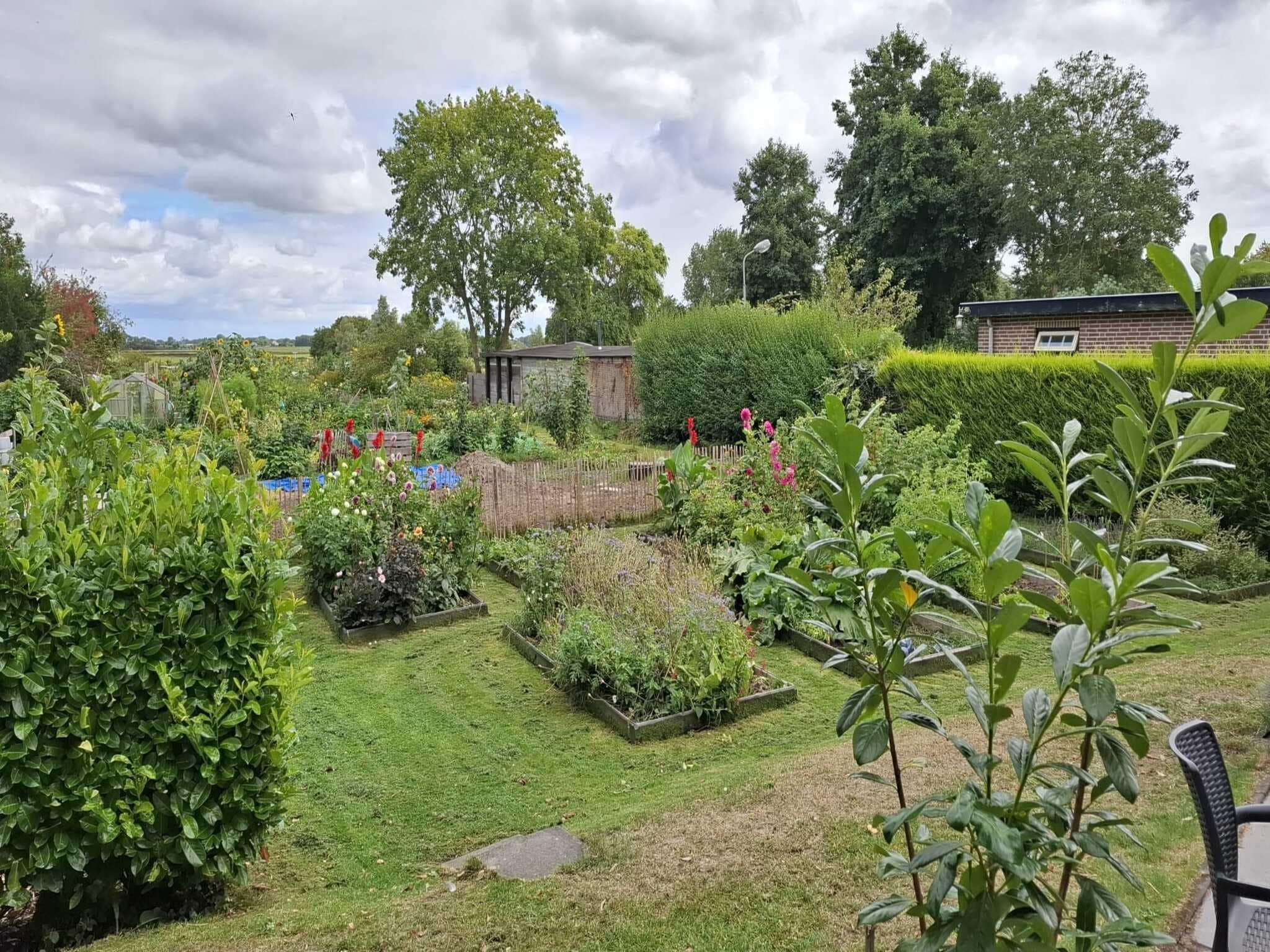 De tuin van Fancy in Groet