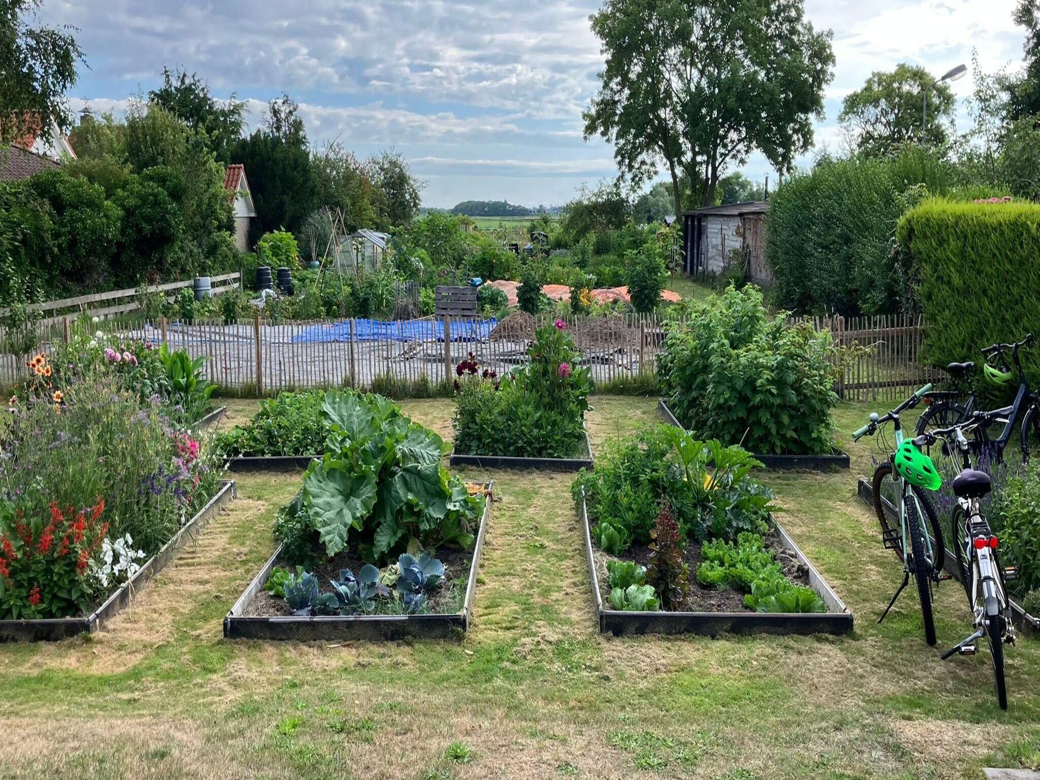 De tuin van Fancy in Groet