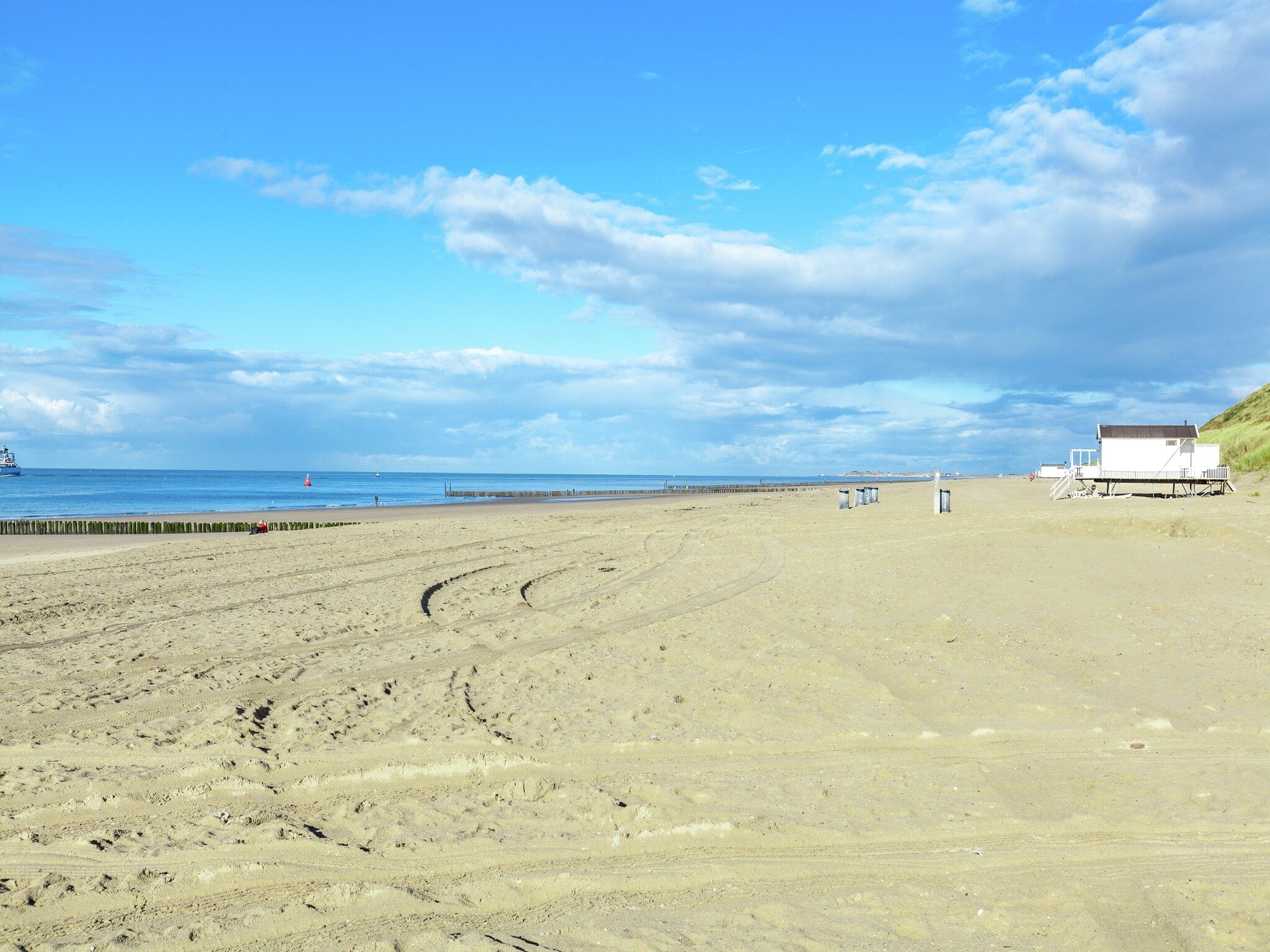 Zeeroos in Koudekerke-Dishoek - Foto 31 van 34
