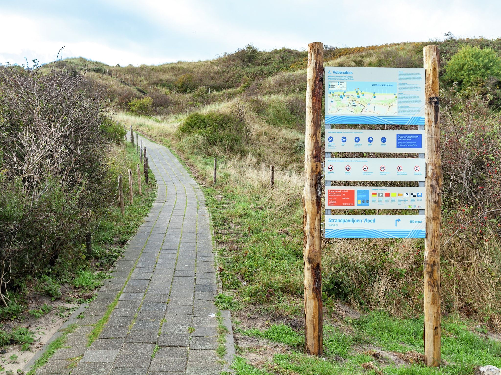 Zeeroos in Koudekerke-Dishoek - Foto 27 van 34