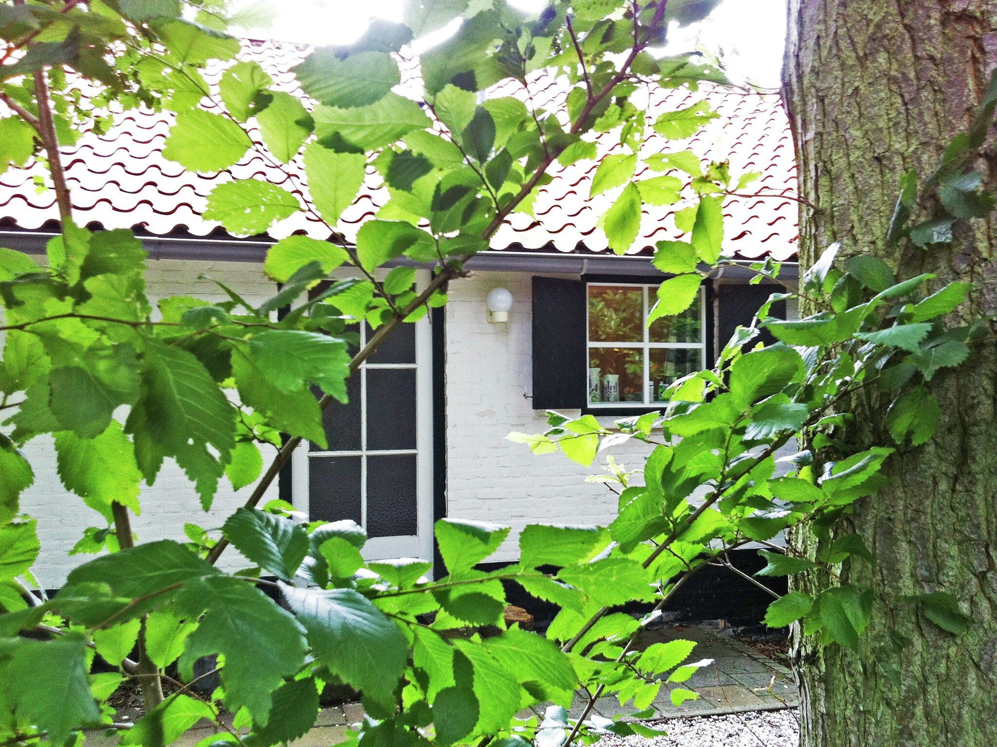 Sfeerbeeld van Zeeroos in Koudekerke-Dishoek