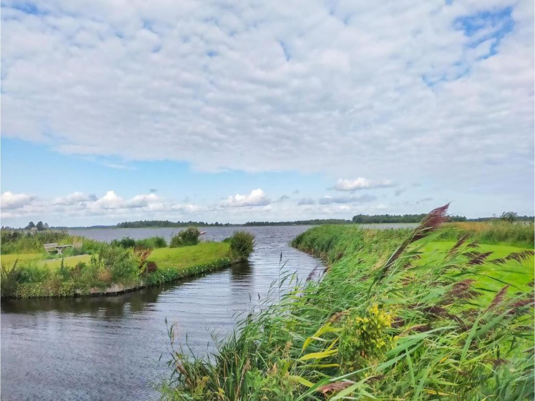 De omgeving van Vakantiepark Giethoorn 4 in Giethoorn