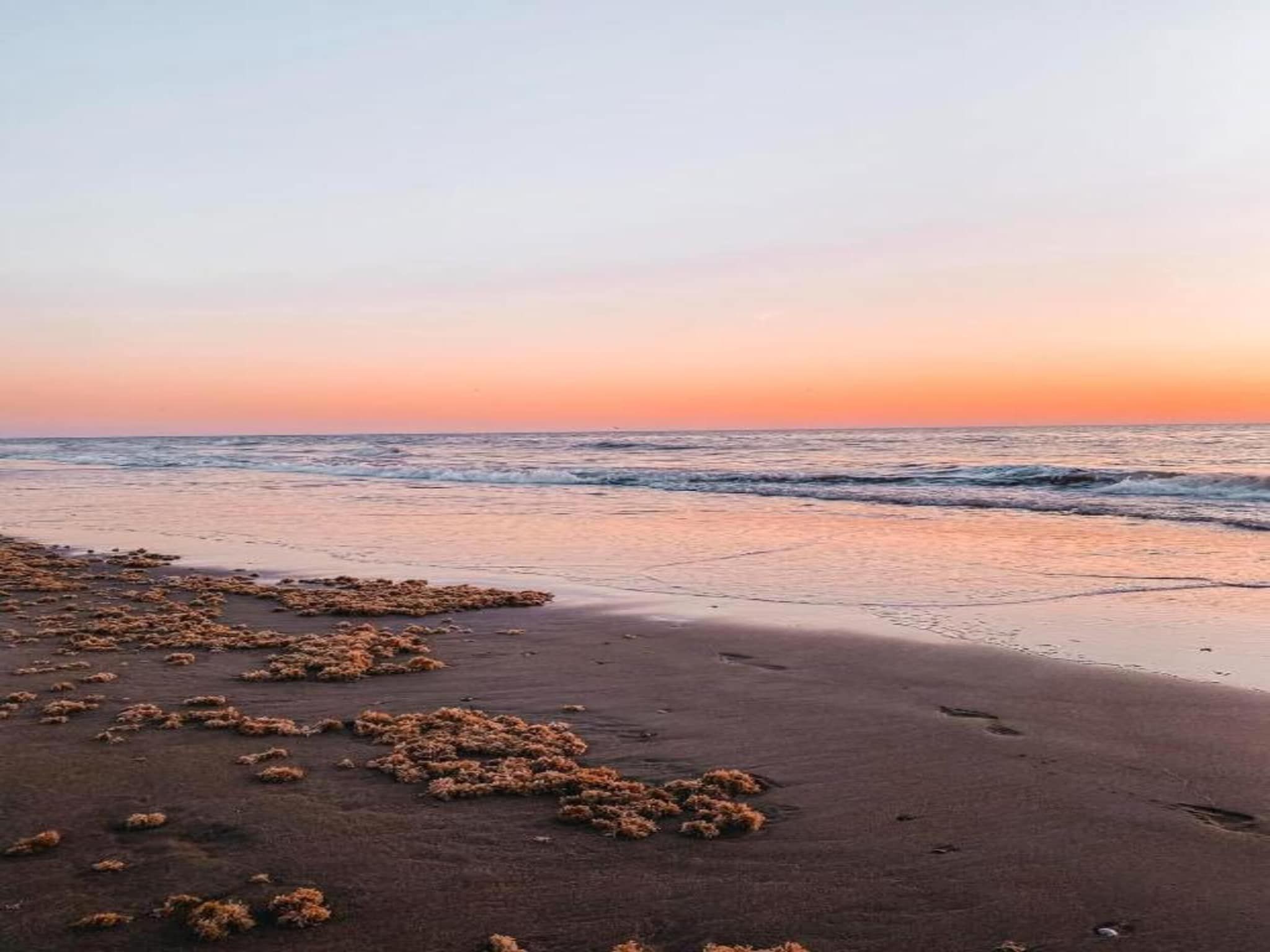 De omgeving van Bungalowpark de Gouden Spar 2 in Noordwijk