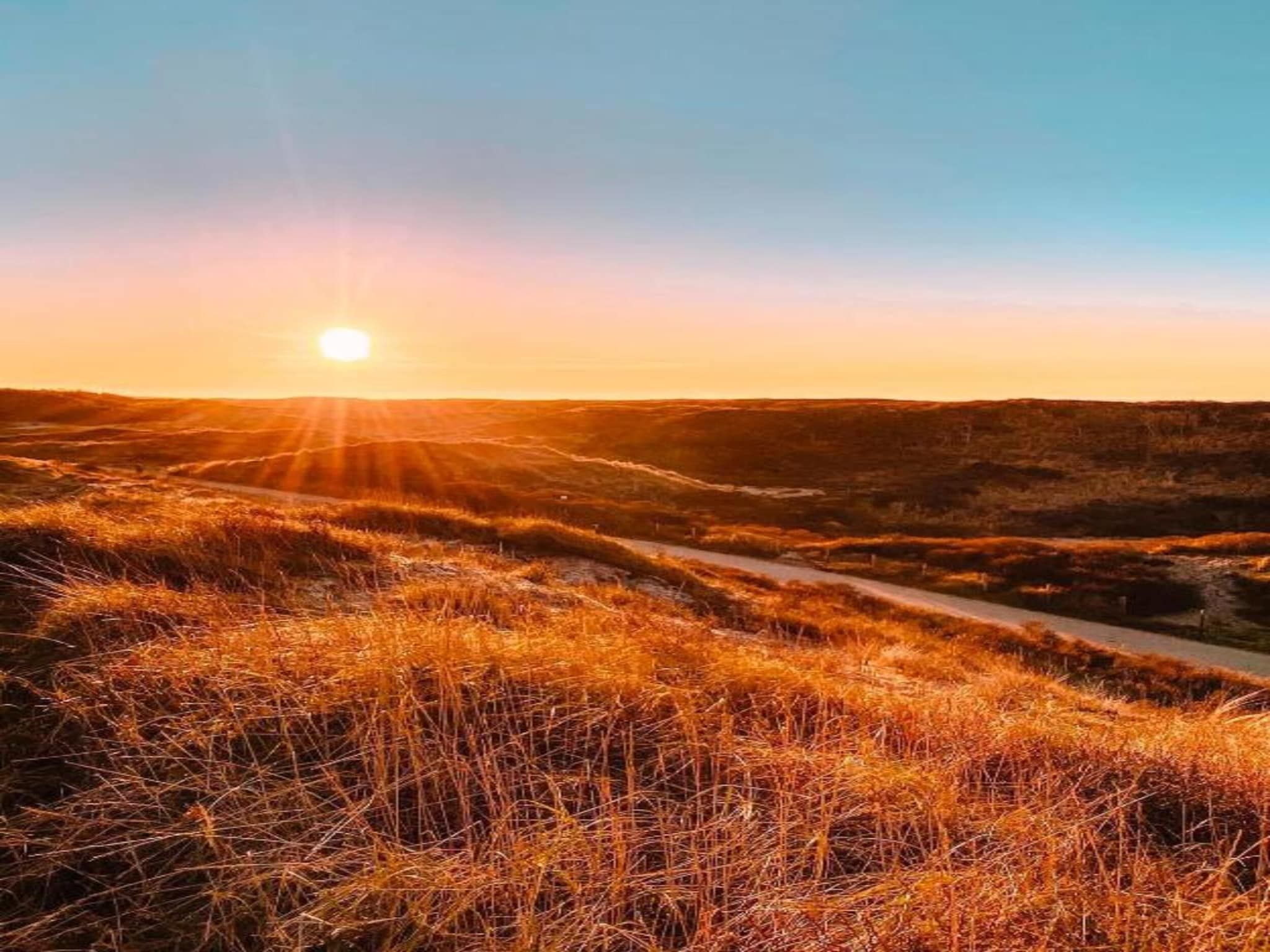 De omgeving van Bungalowpark de Gouden Spar 2 in Noordwijk