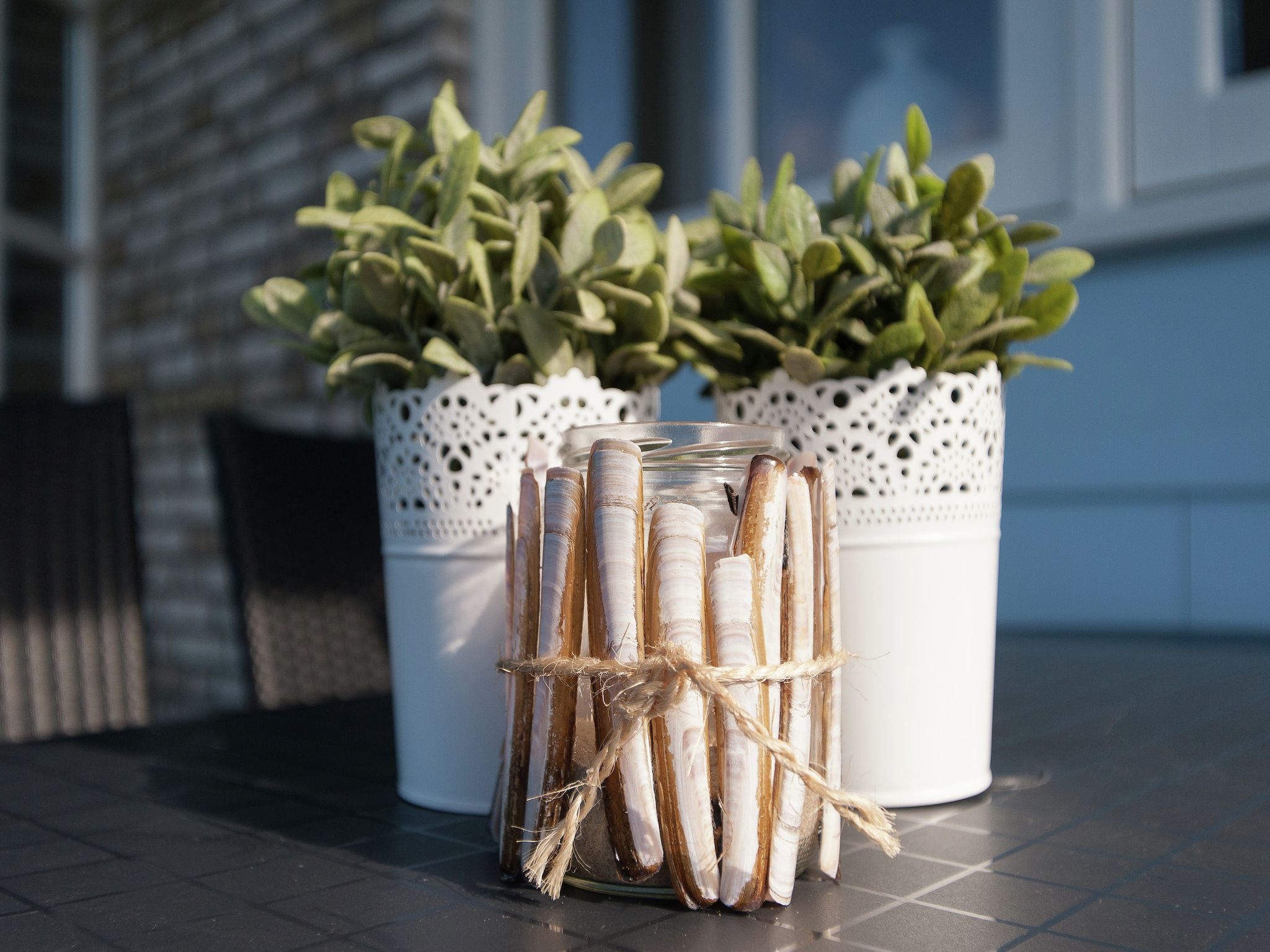 Sfeerbeeld van Bungalowpark de Gouden Spar 3 in Noordwijk