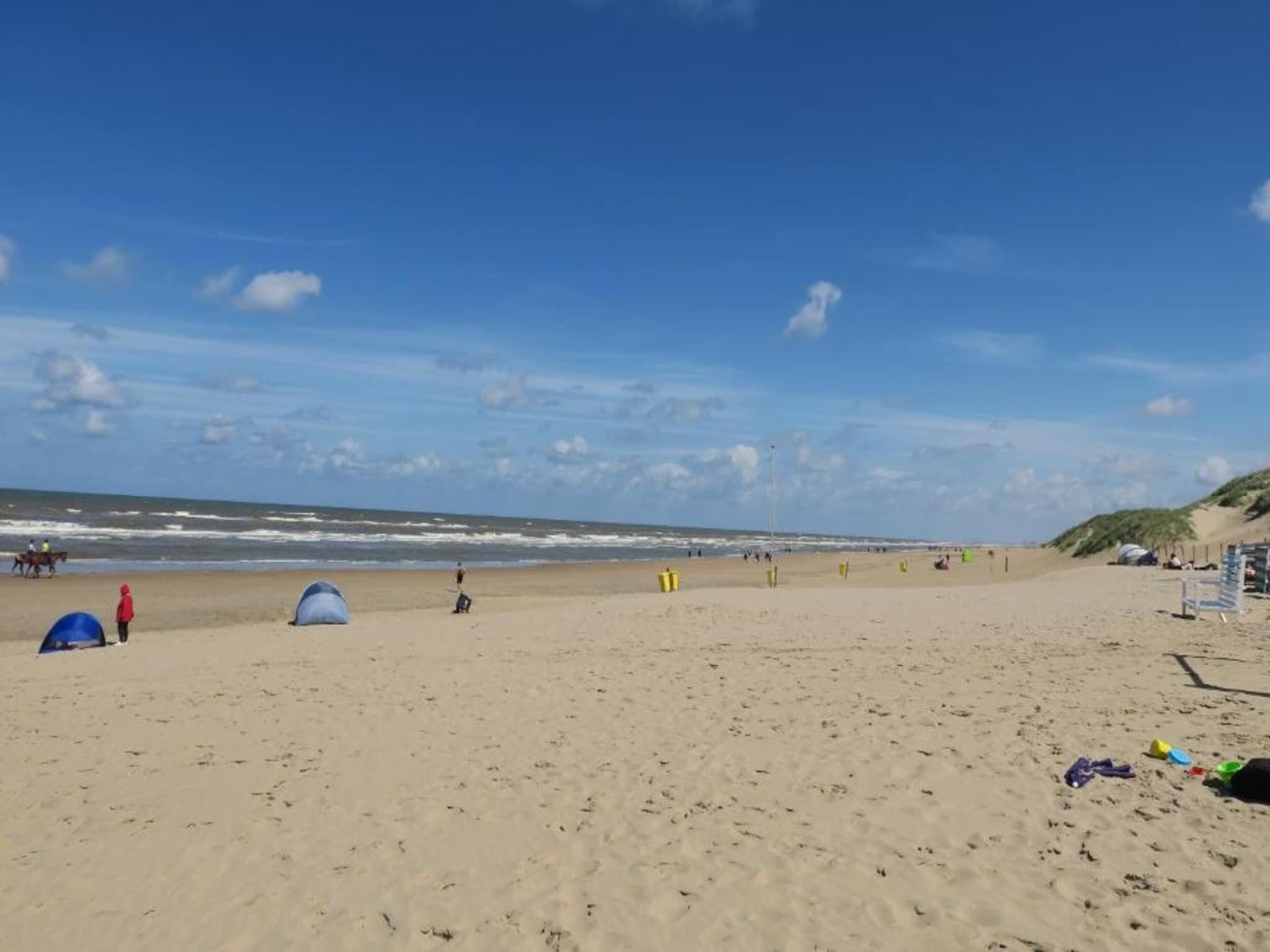 De omgeving van Bungalowpark de Gouden Spar 4 in Noordwijk